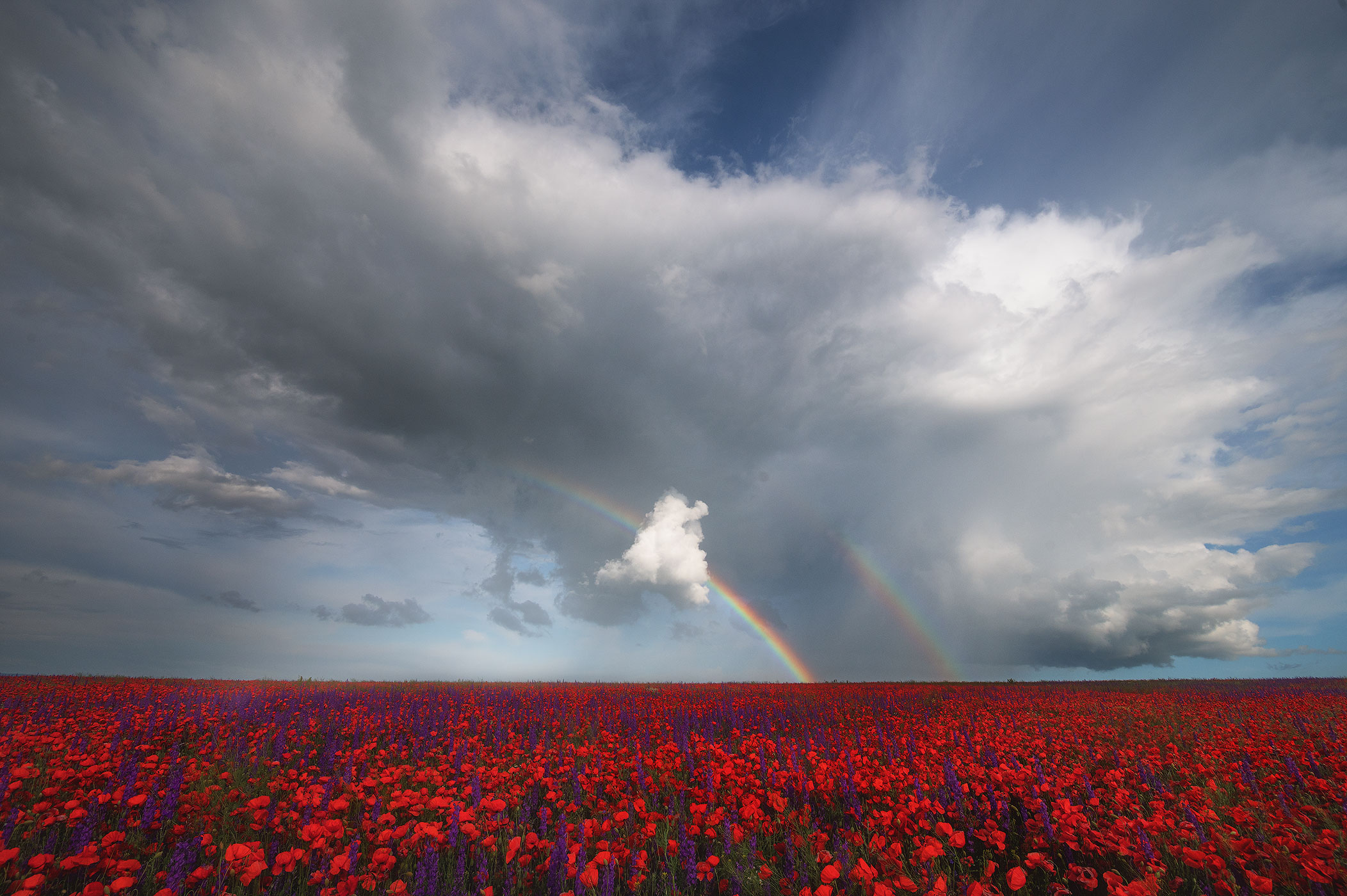 , Наталья Агеева