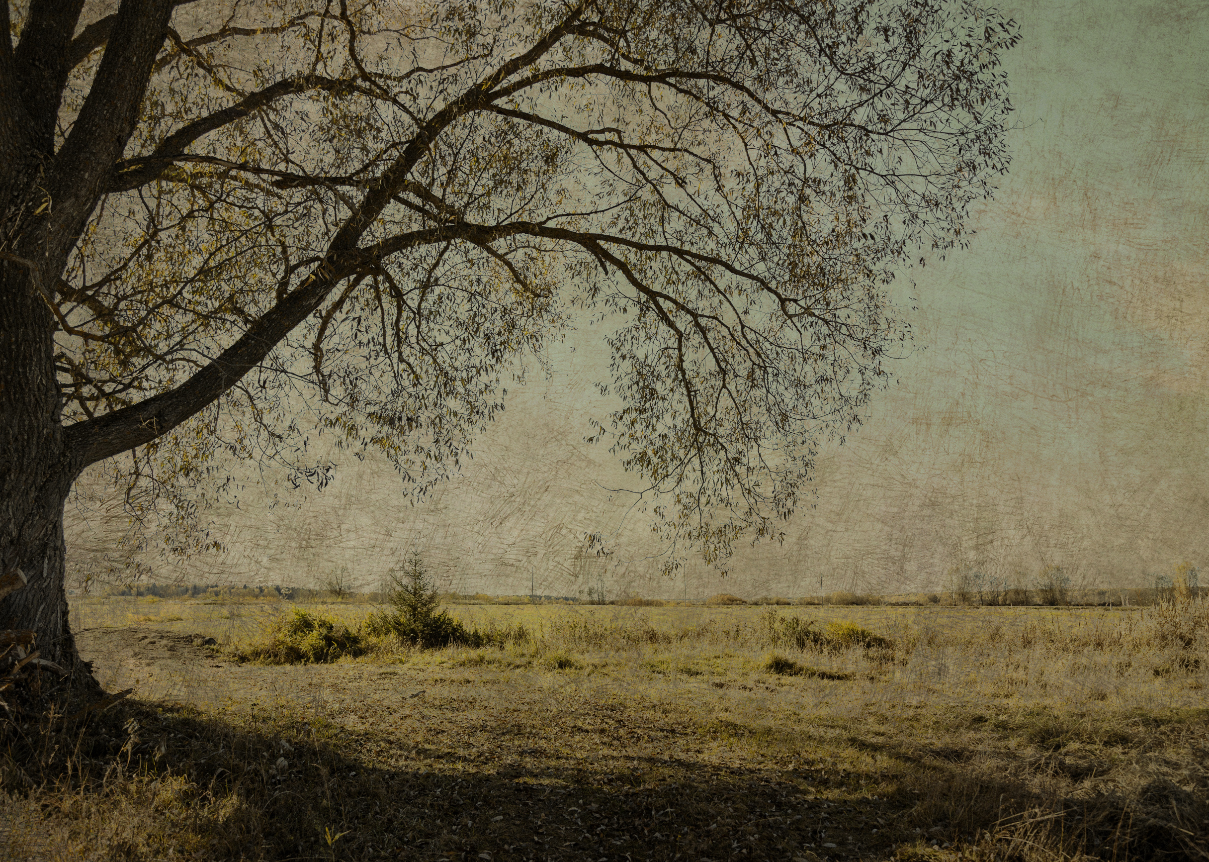 , Сагдиева Эльвира