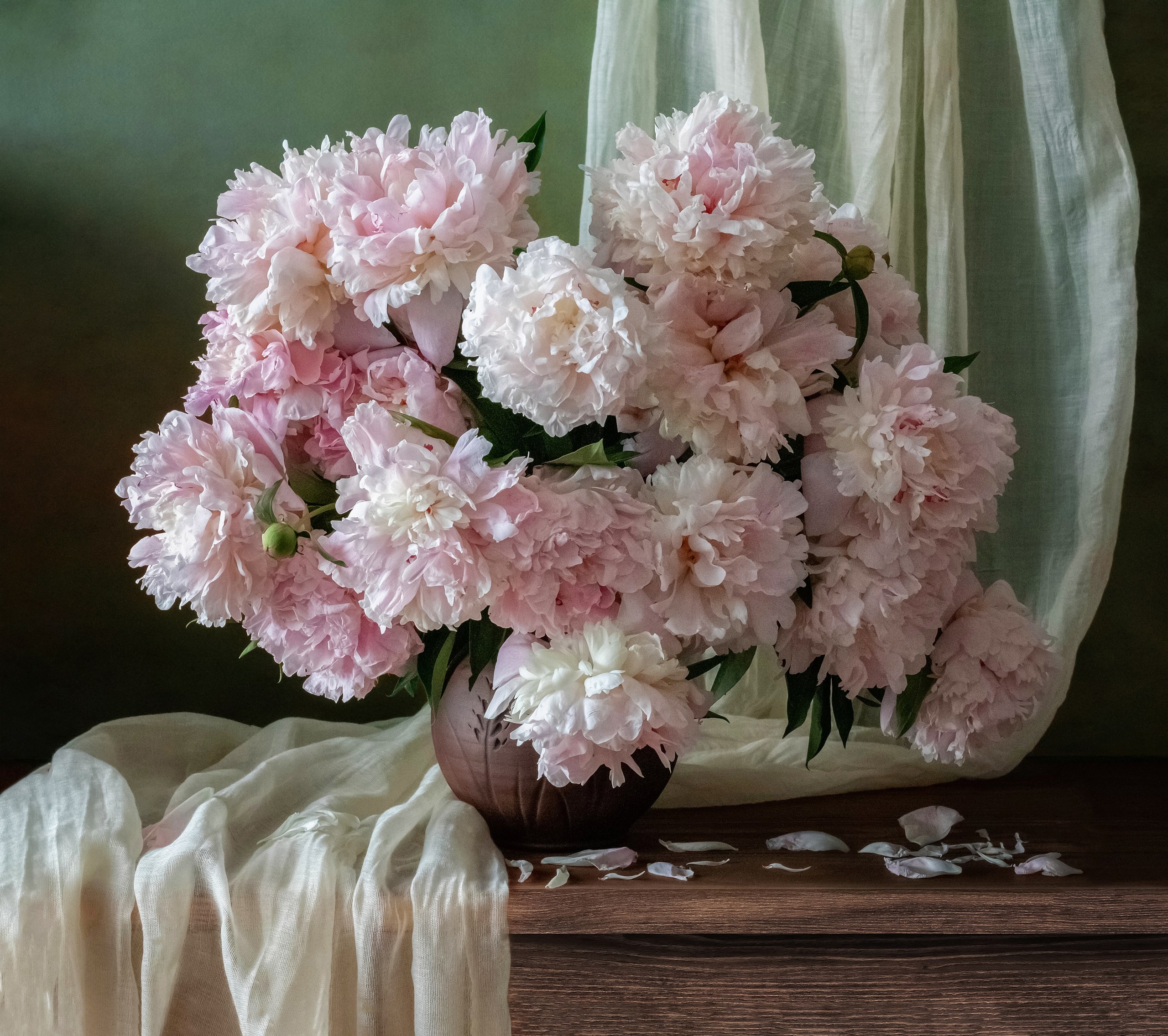 Пионы, Ирина Зиннурова