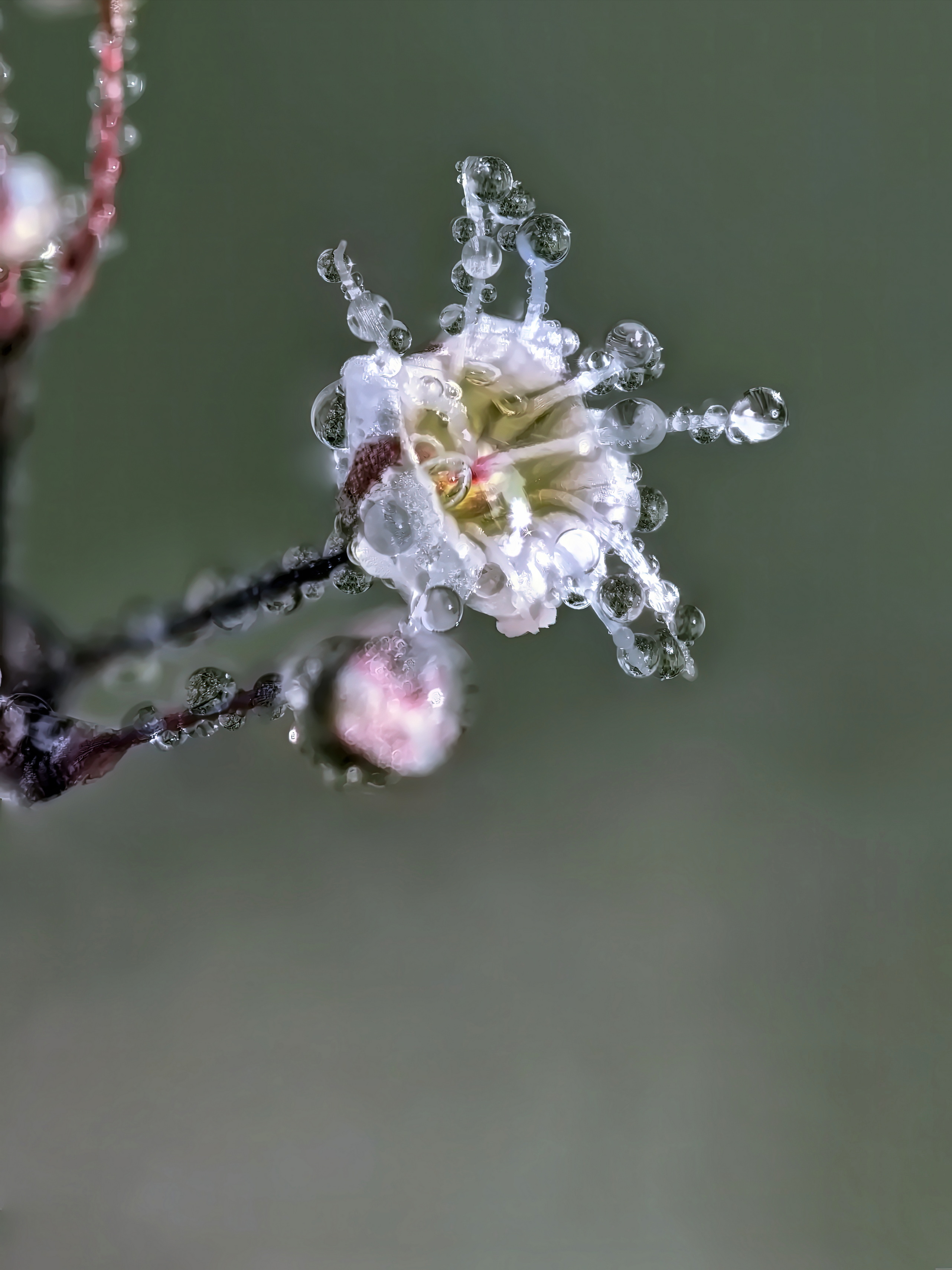 , Кузнецов Дмитрий