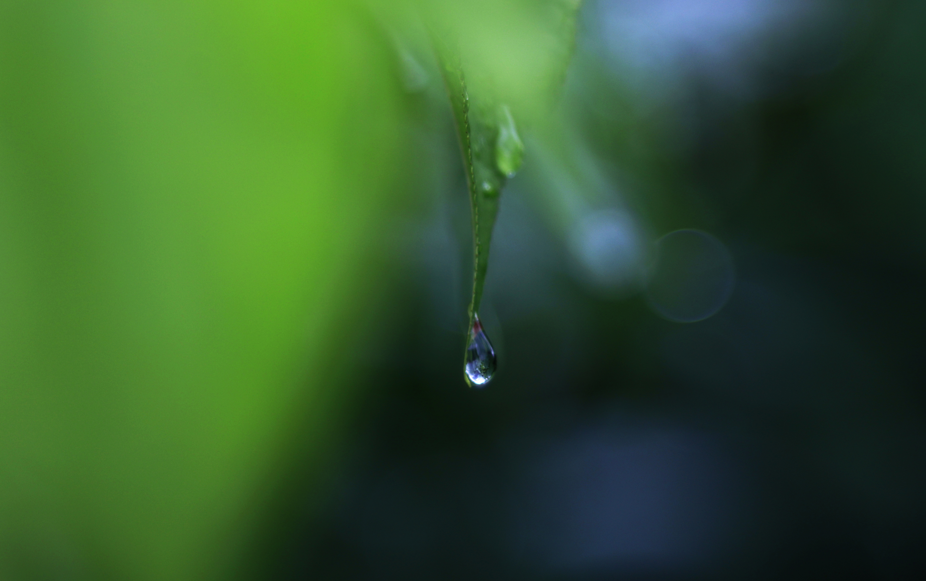 , Павел Мартюшев