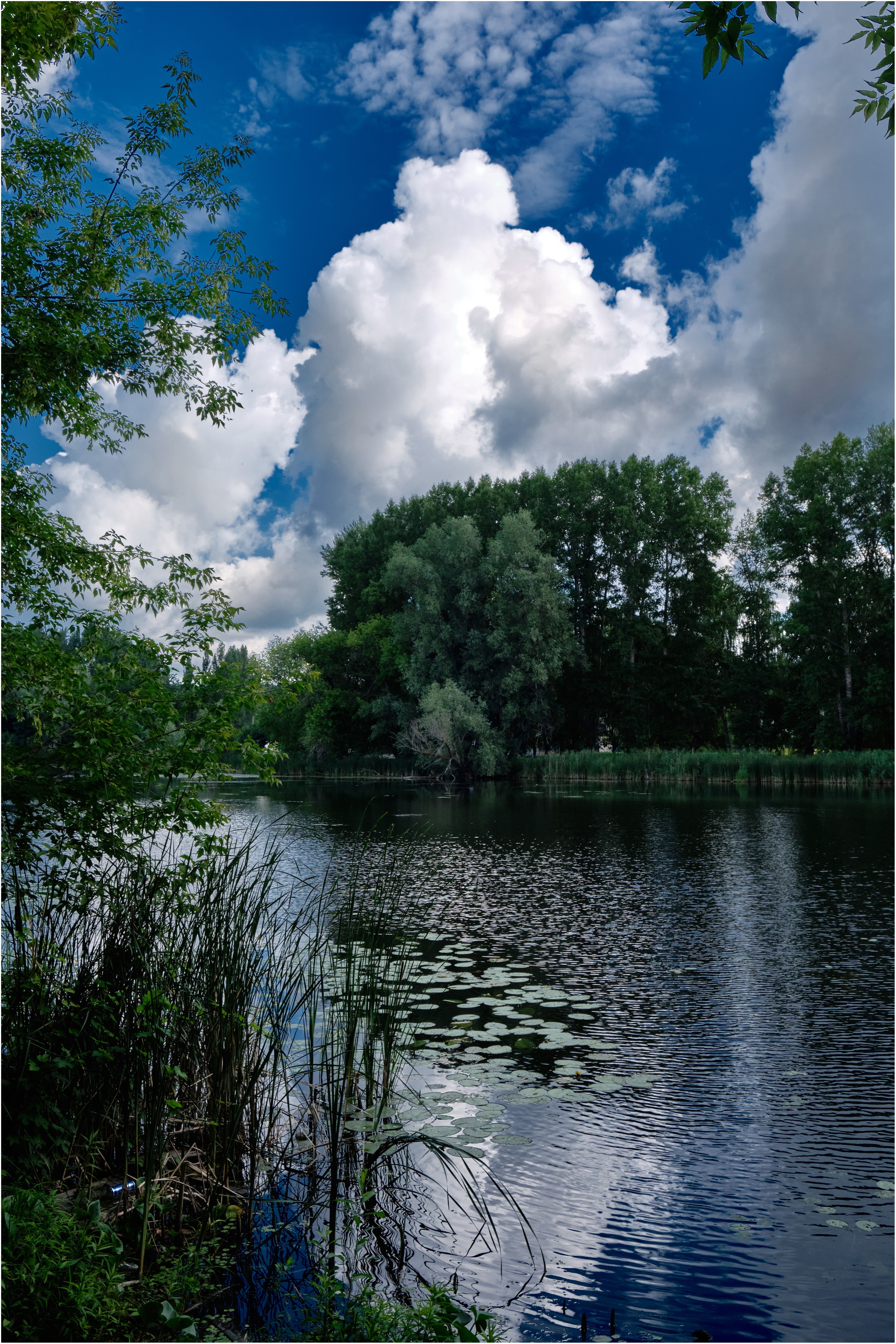 , Владимир Краснов