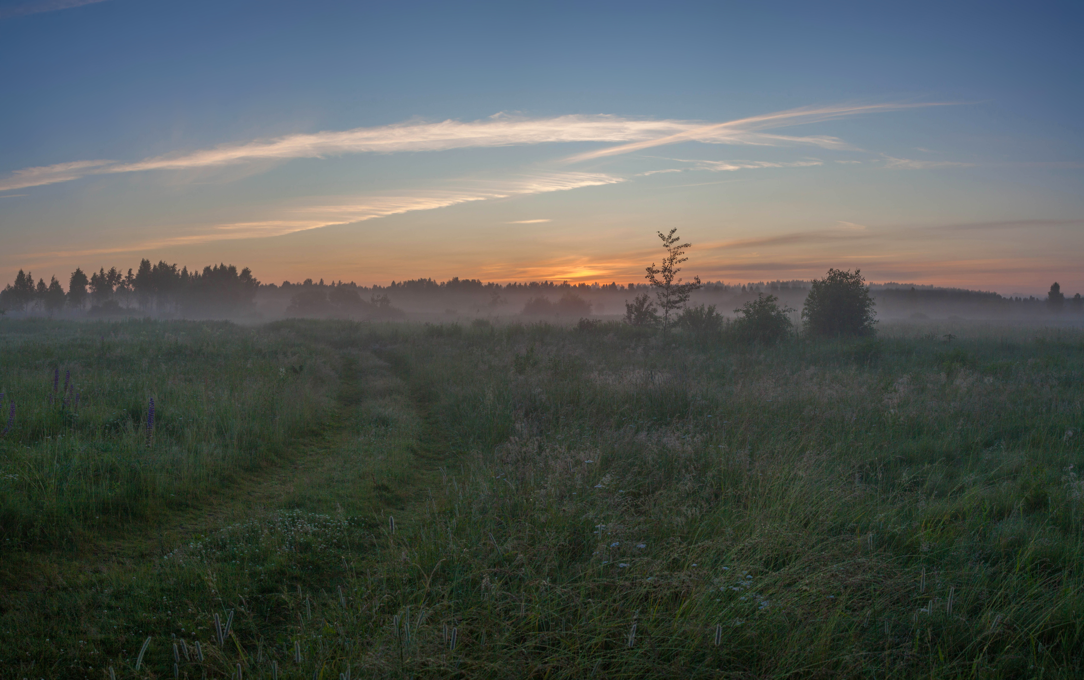 рассвет, лето , поле, Свистков Александр