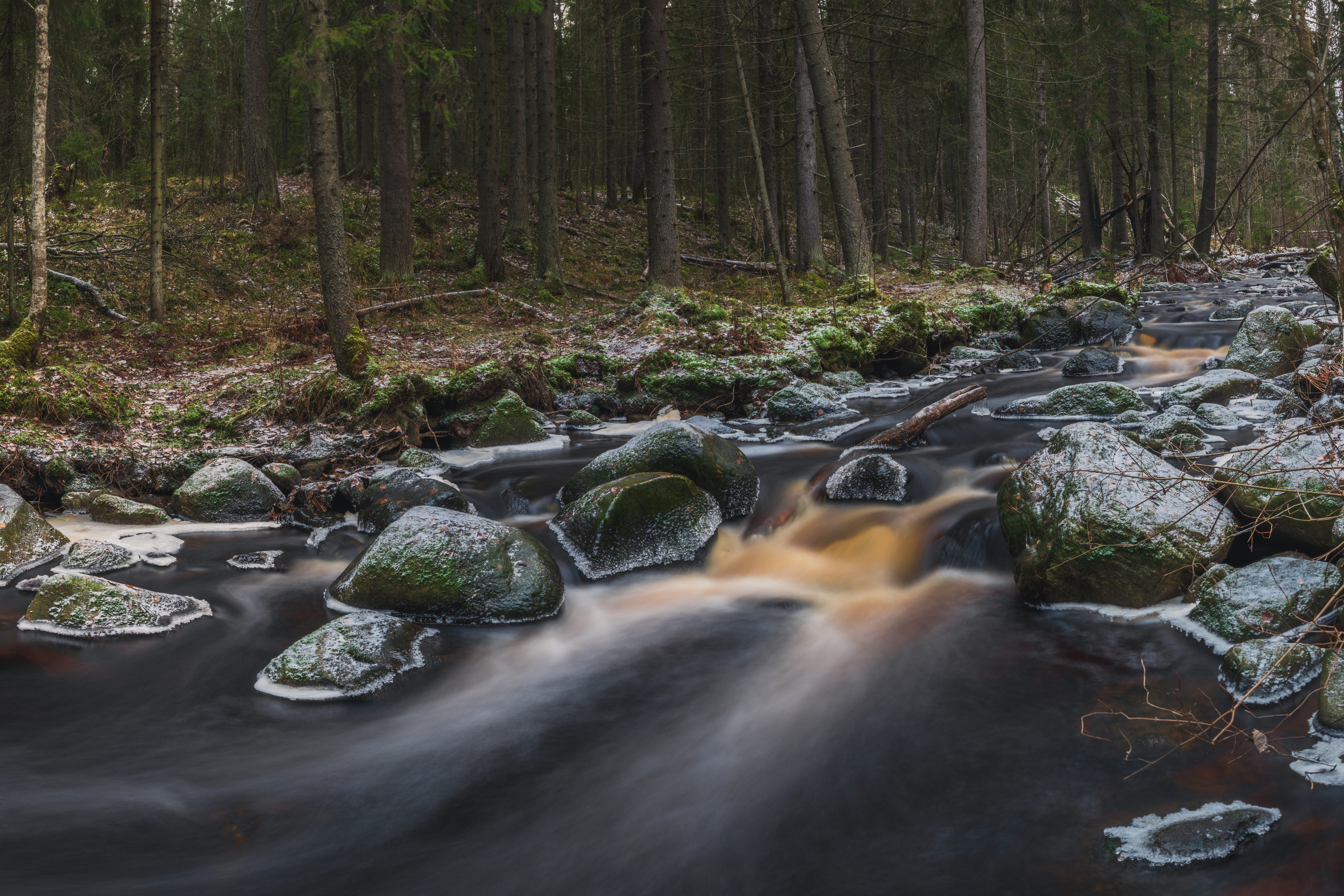 Река, вода, камни, лес, Карелия, осень, Denis Koshkin