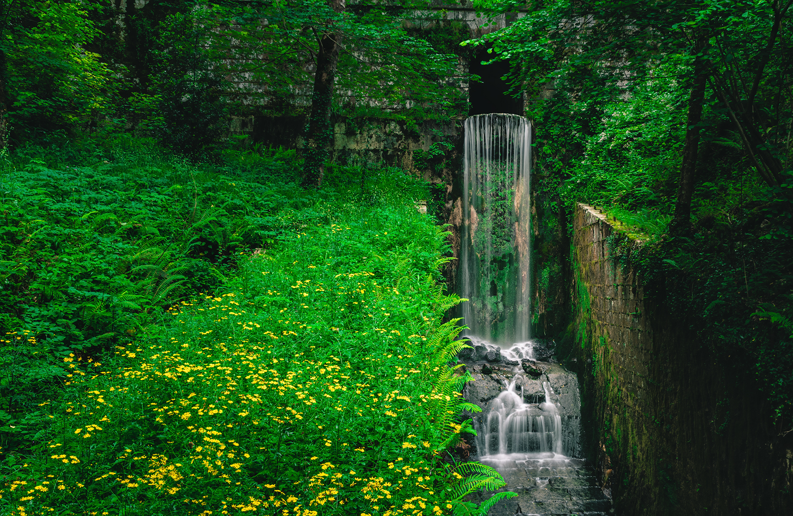 , Veaceslav Chisalita