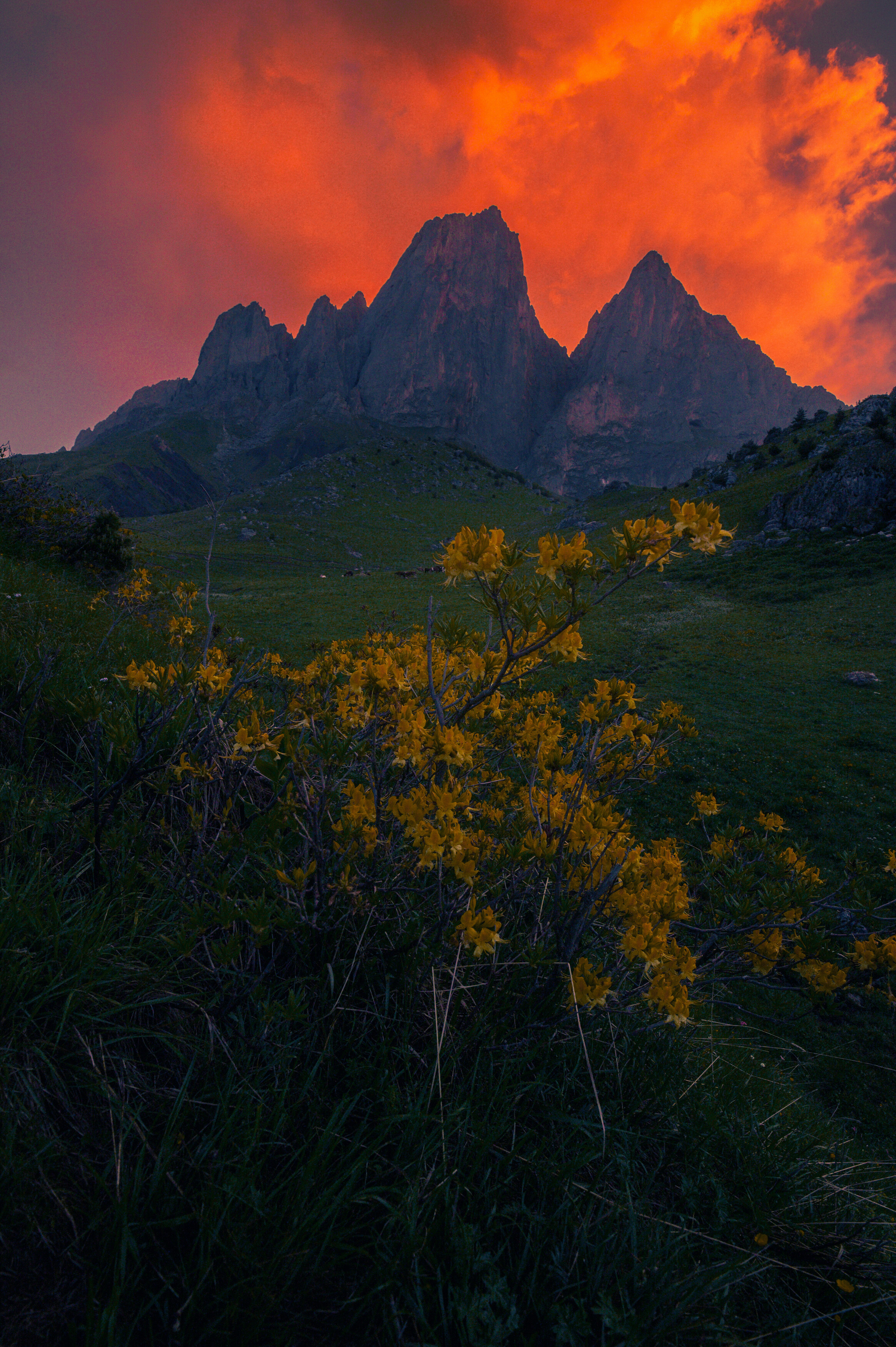 , Алексей Кретов