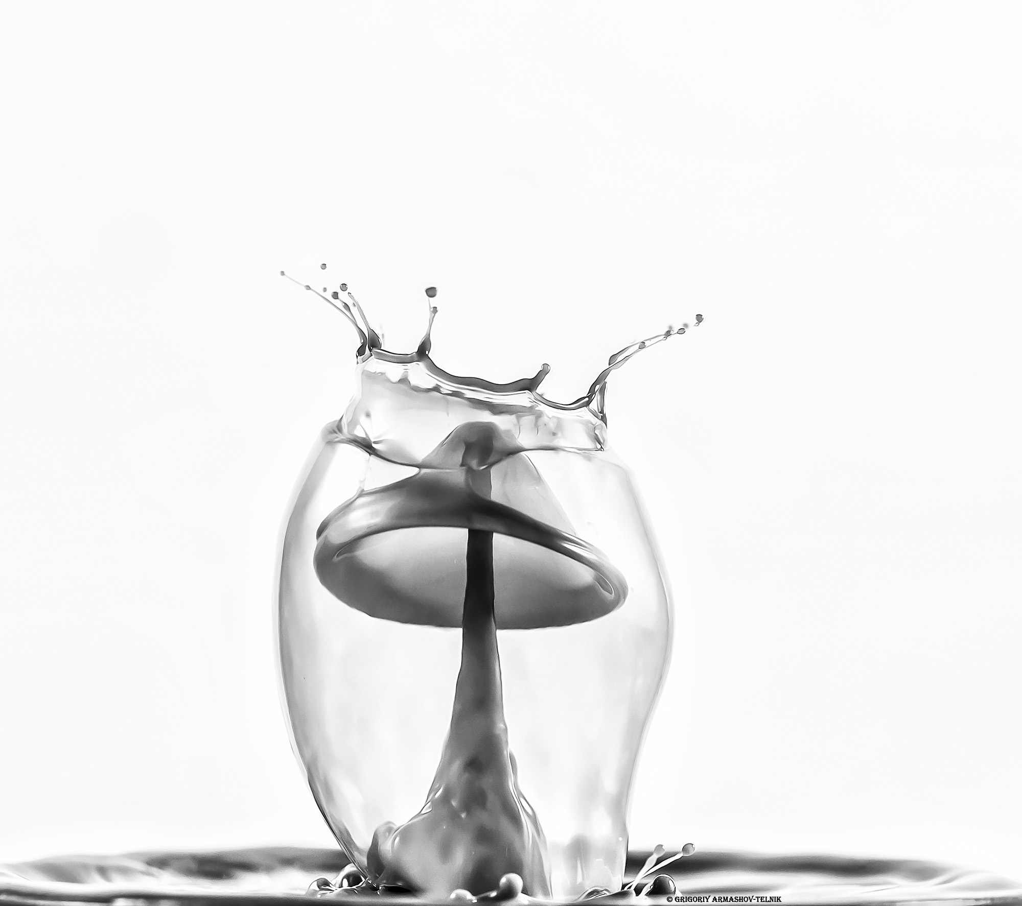 Monochrome drops macro black liquid macrophoto, Армашов-Тельник Григорий