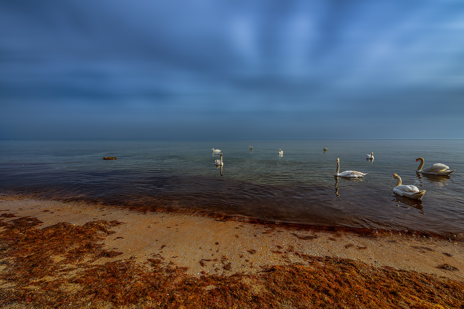 , Владимир Гамаюнов