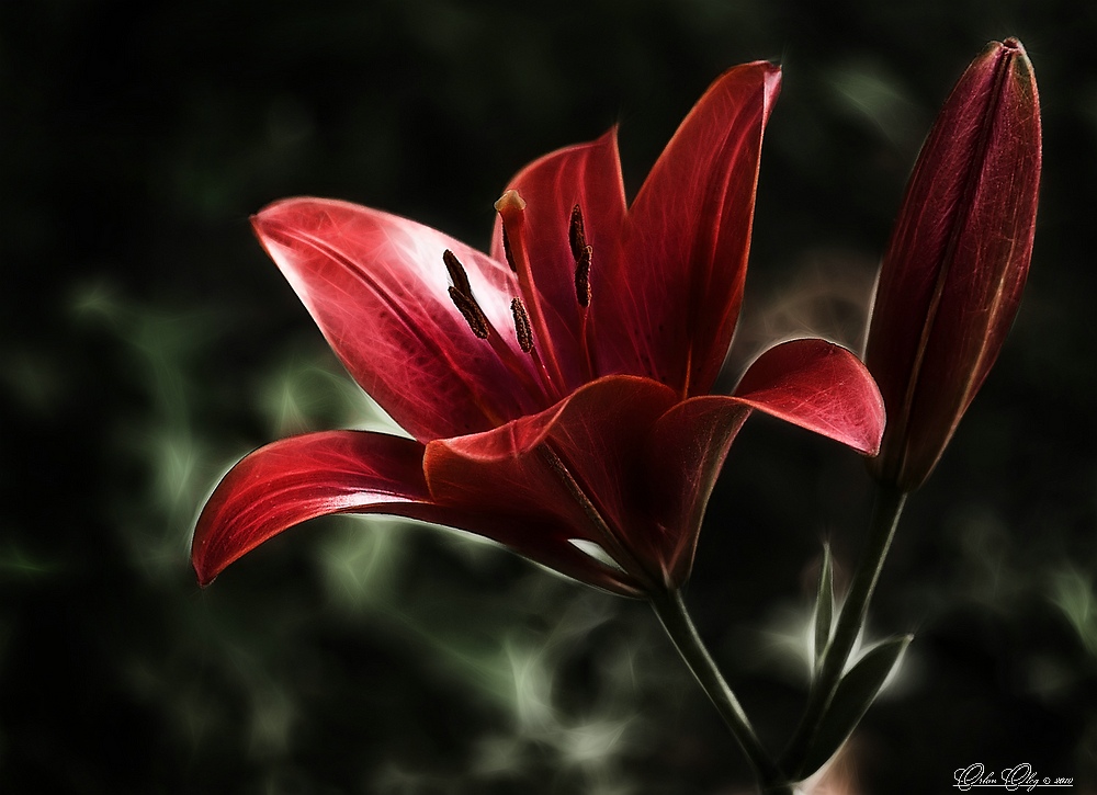 , Орлов Олег