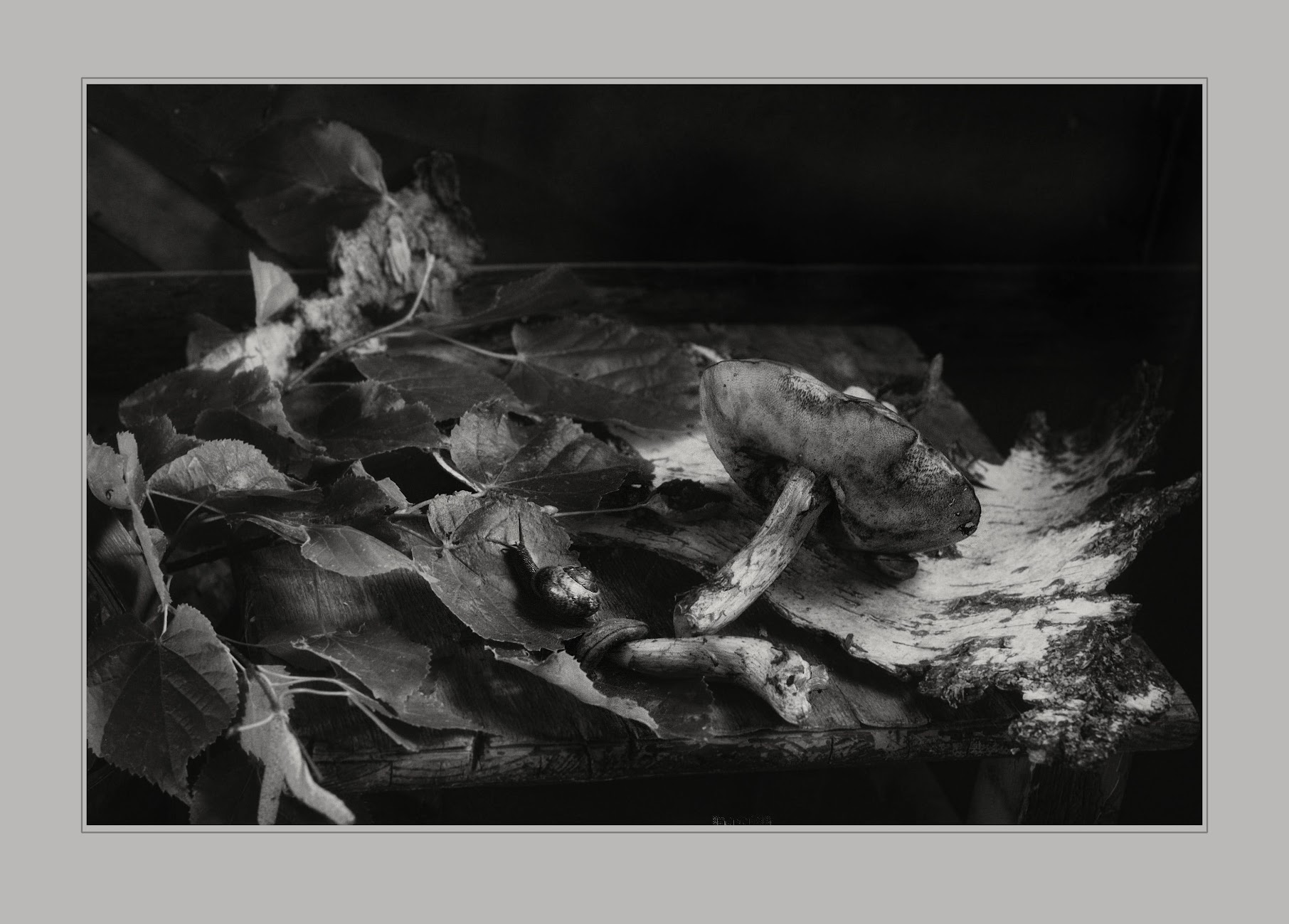 , Ирина Данилова