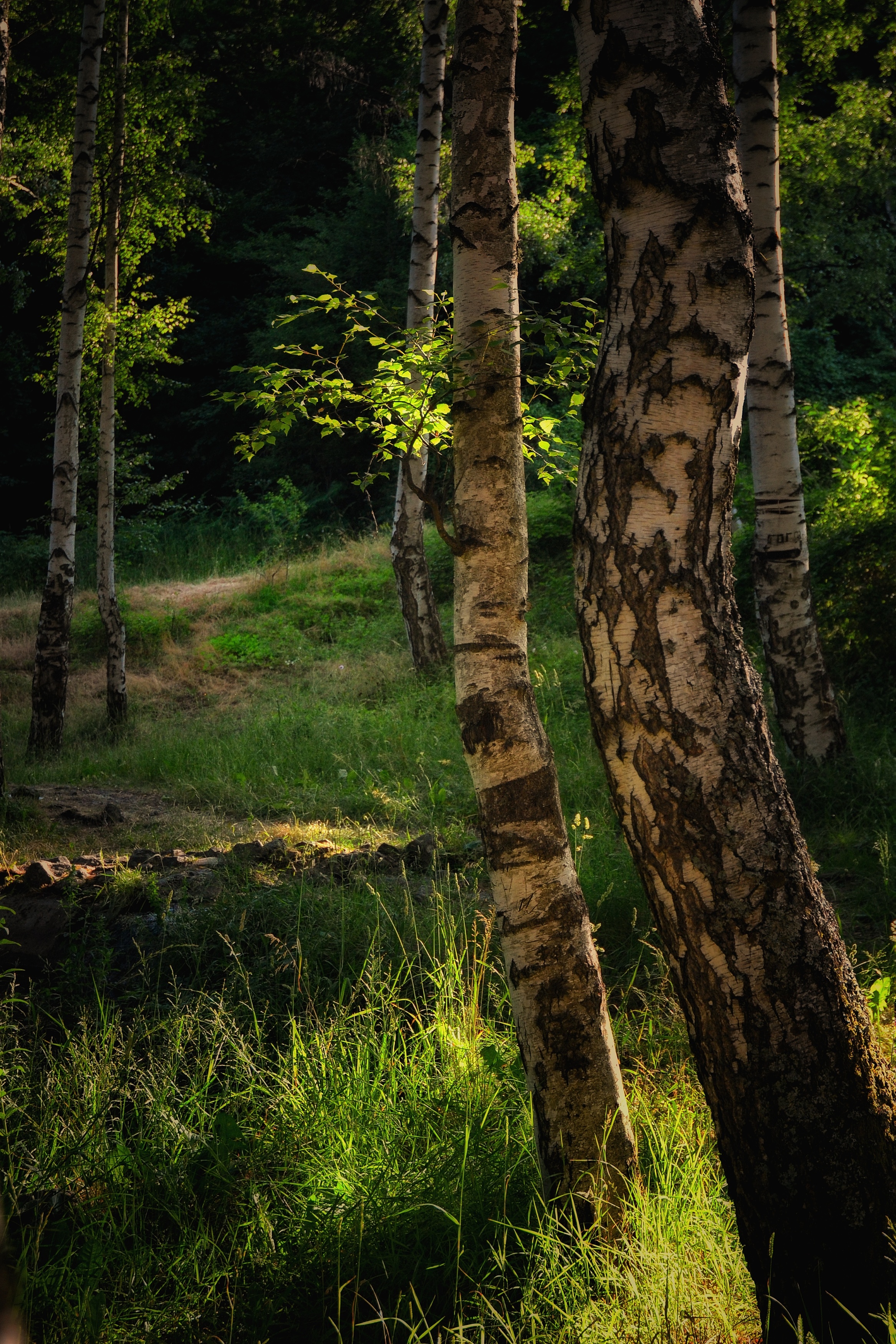 , Юлияна Стоянова