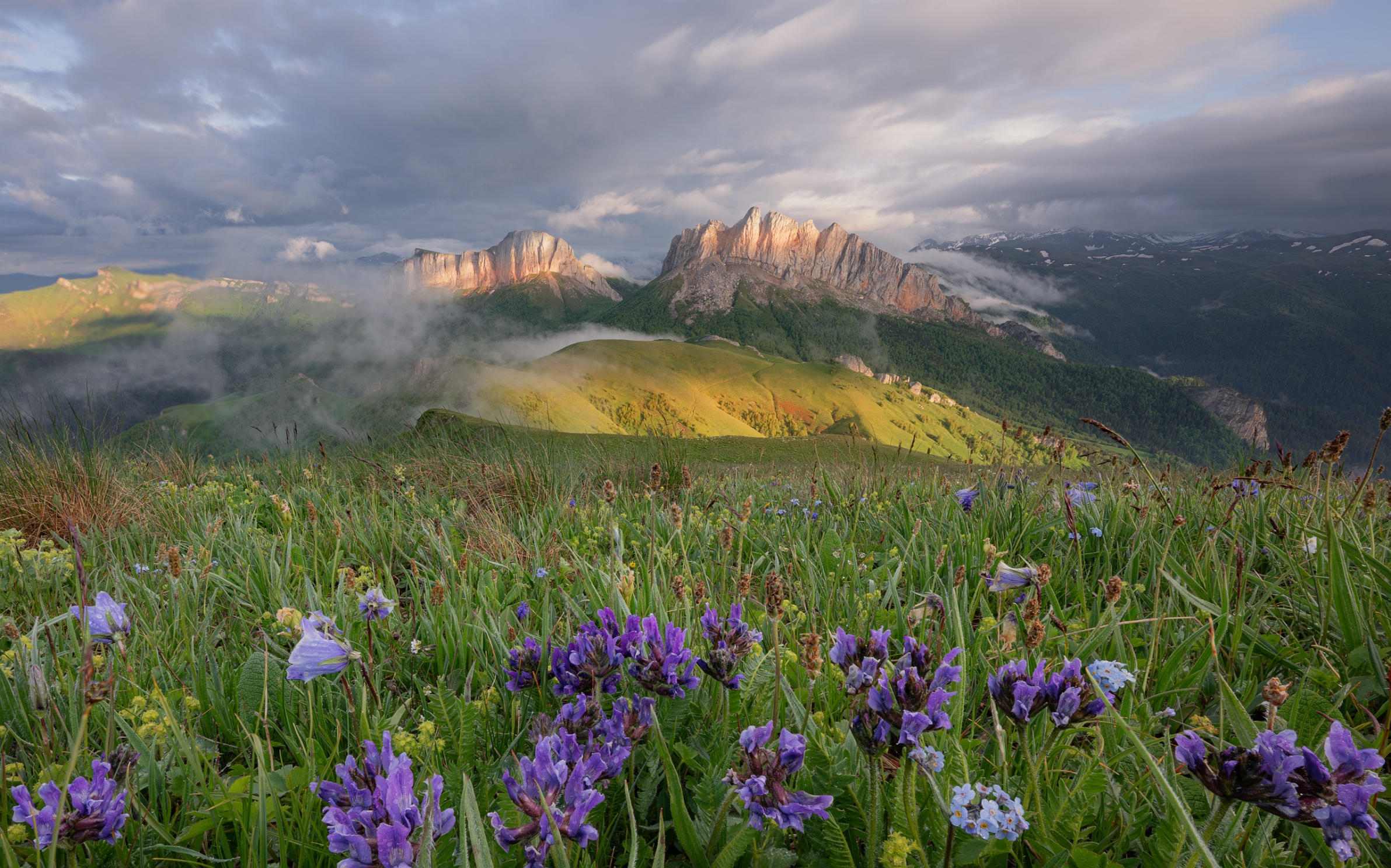 , Ширгин Сергей
