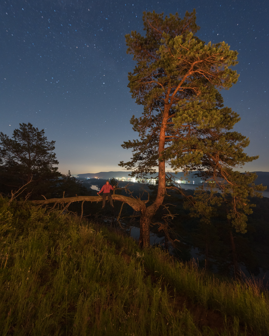 , Алексей Проняхин