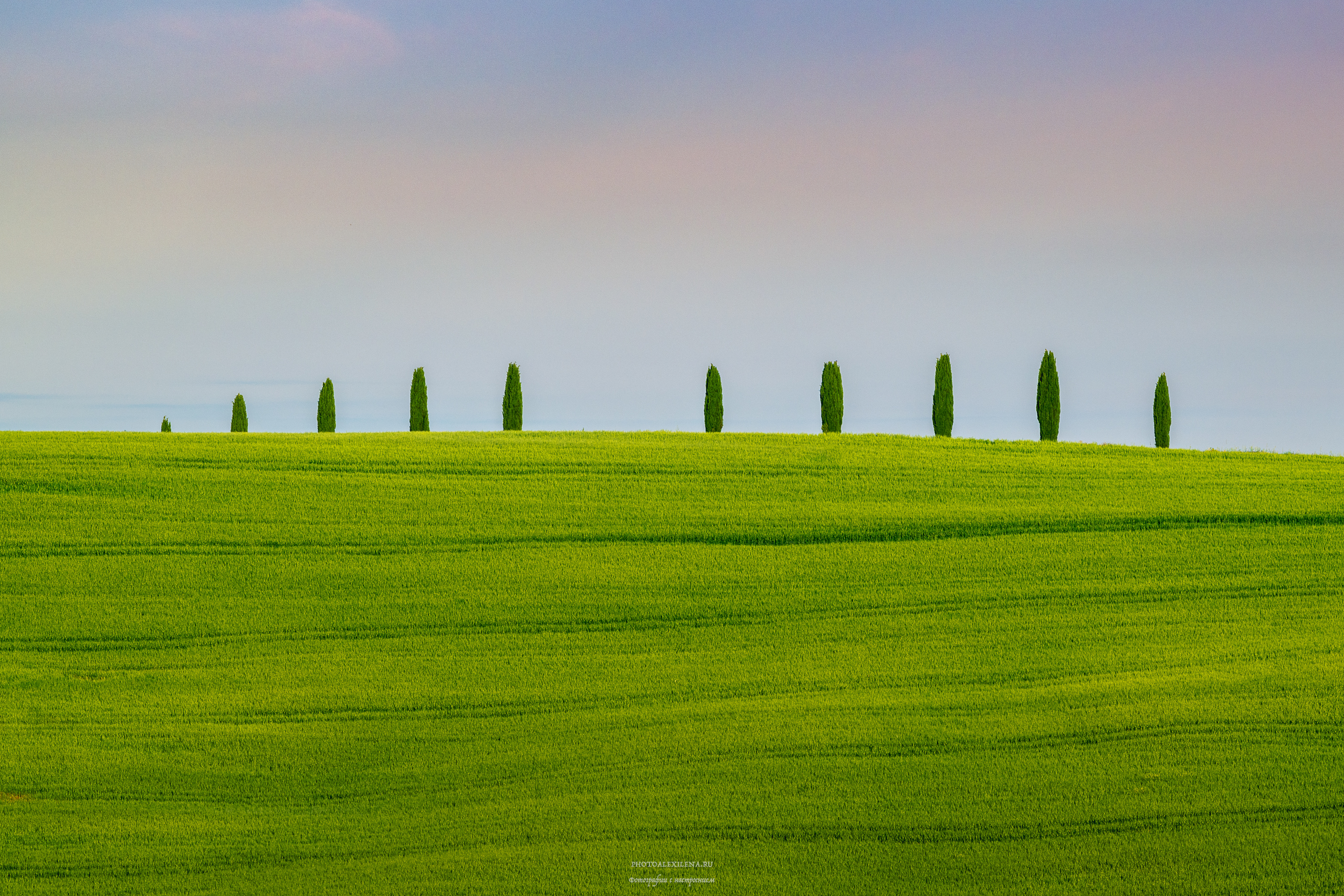 италия, тоскана, кипарисы, пейзаж, Александр Константинов