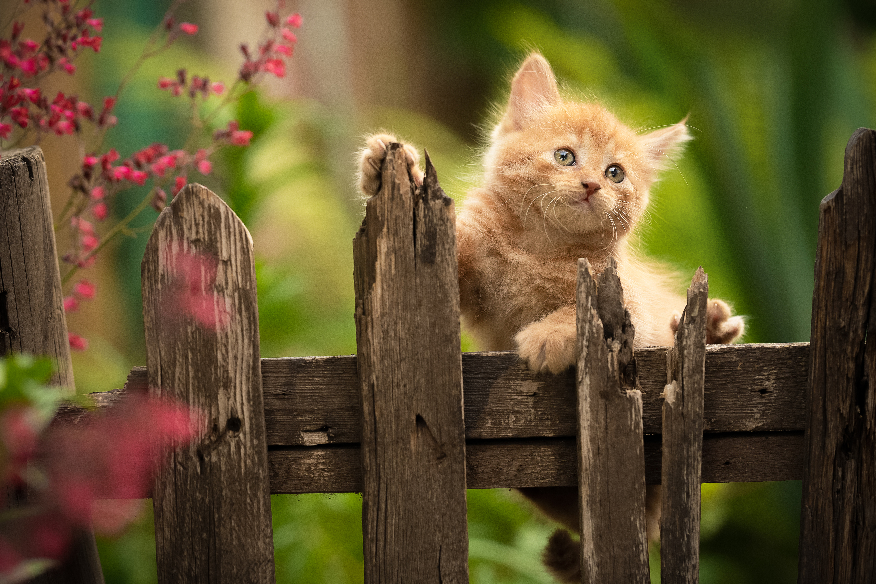 , Коротун Юрий