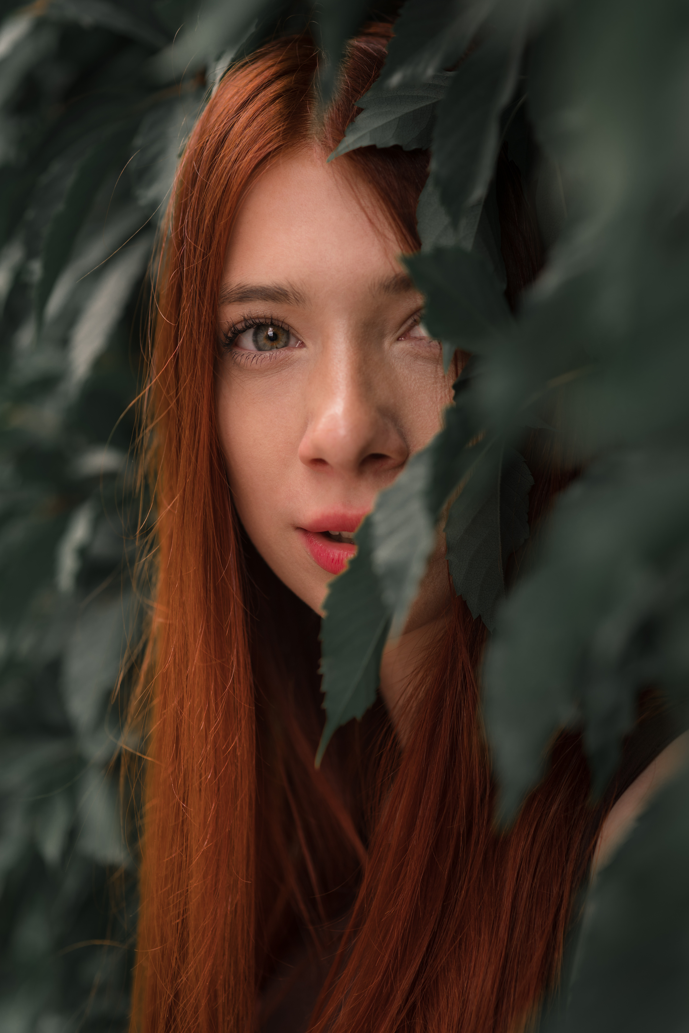 , Maciej Werbliński