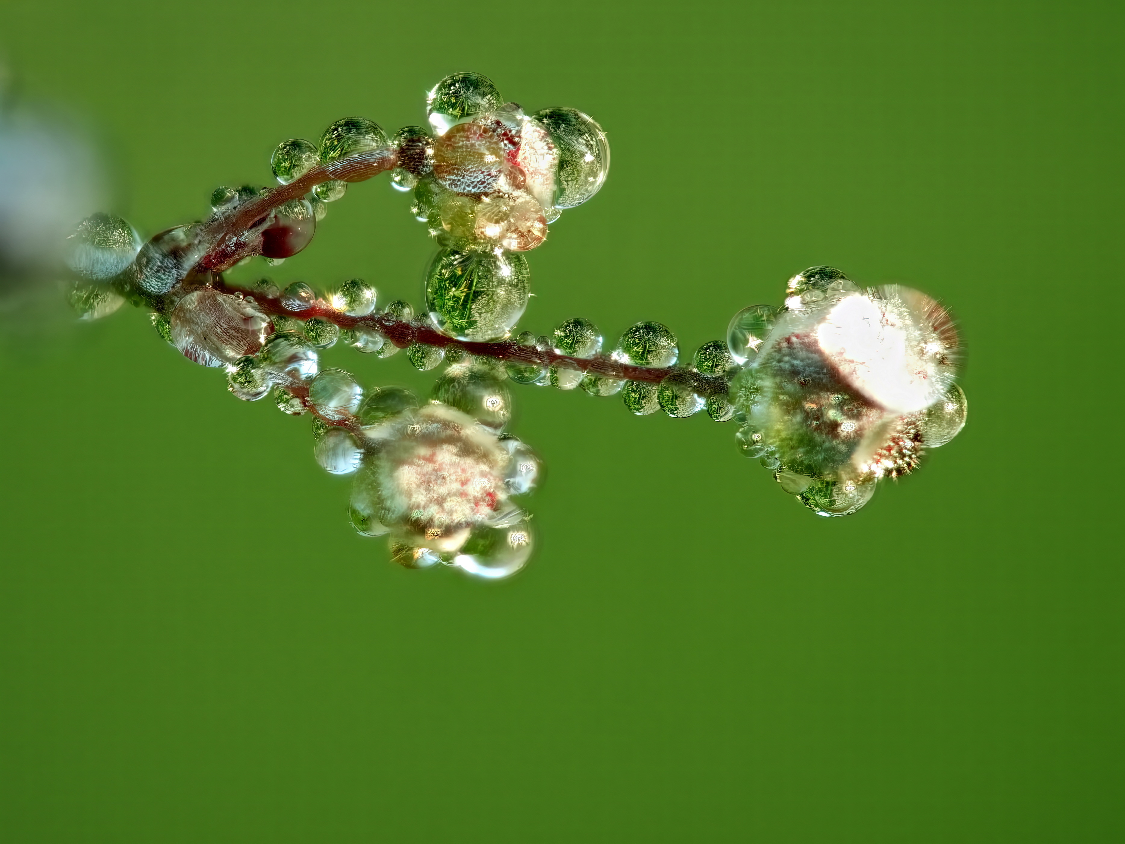 , Кузнецов Дмитрий