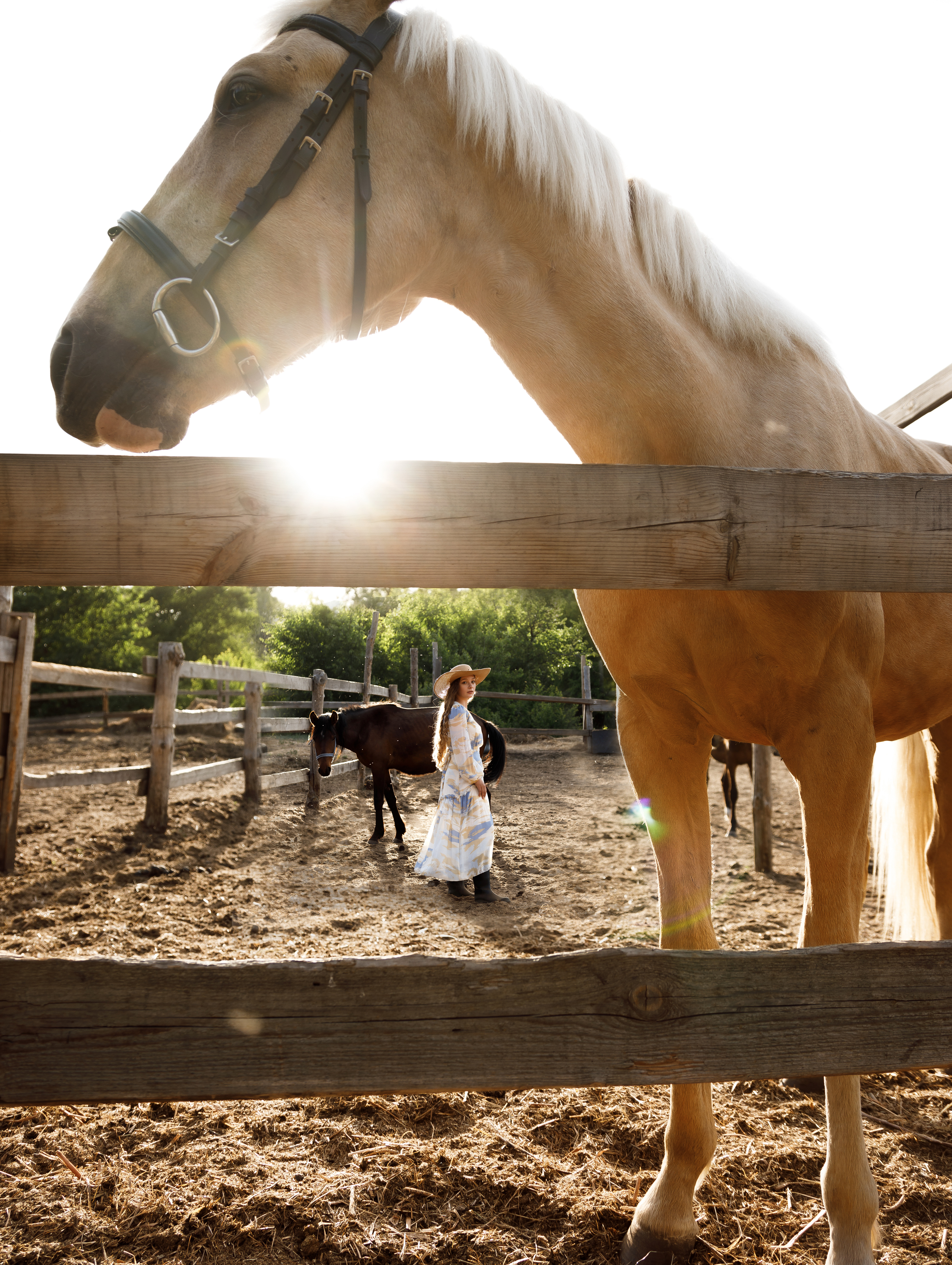 , Эльвира Грызлова
