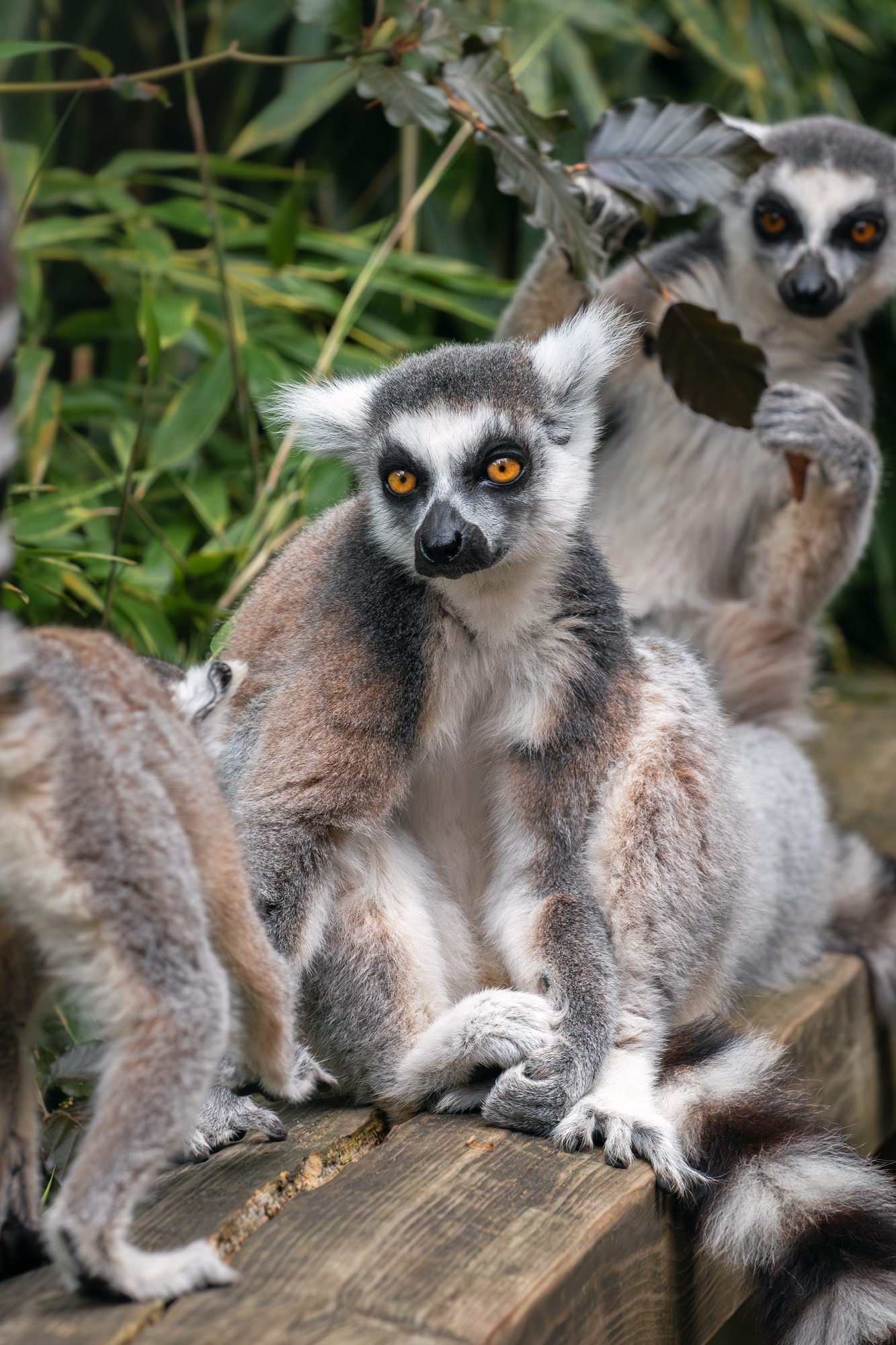 , Наталья Паклина