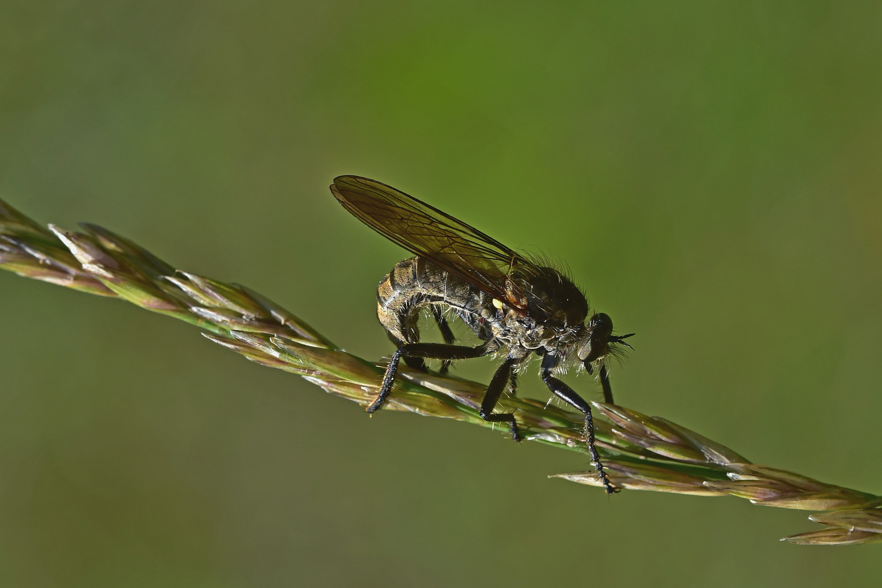 , Корнейчук Игорь