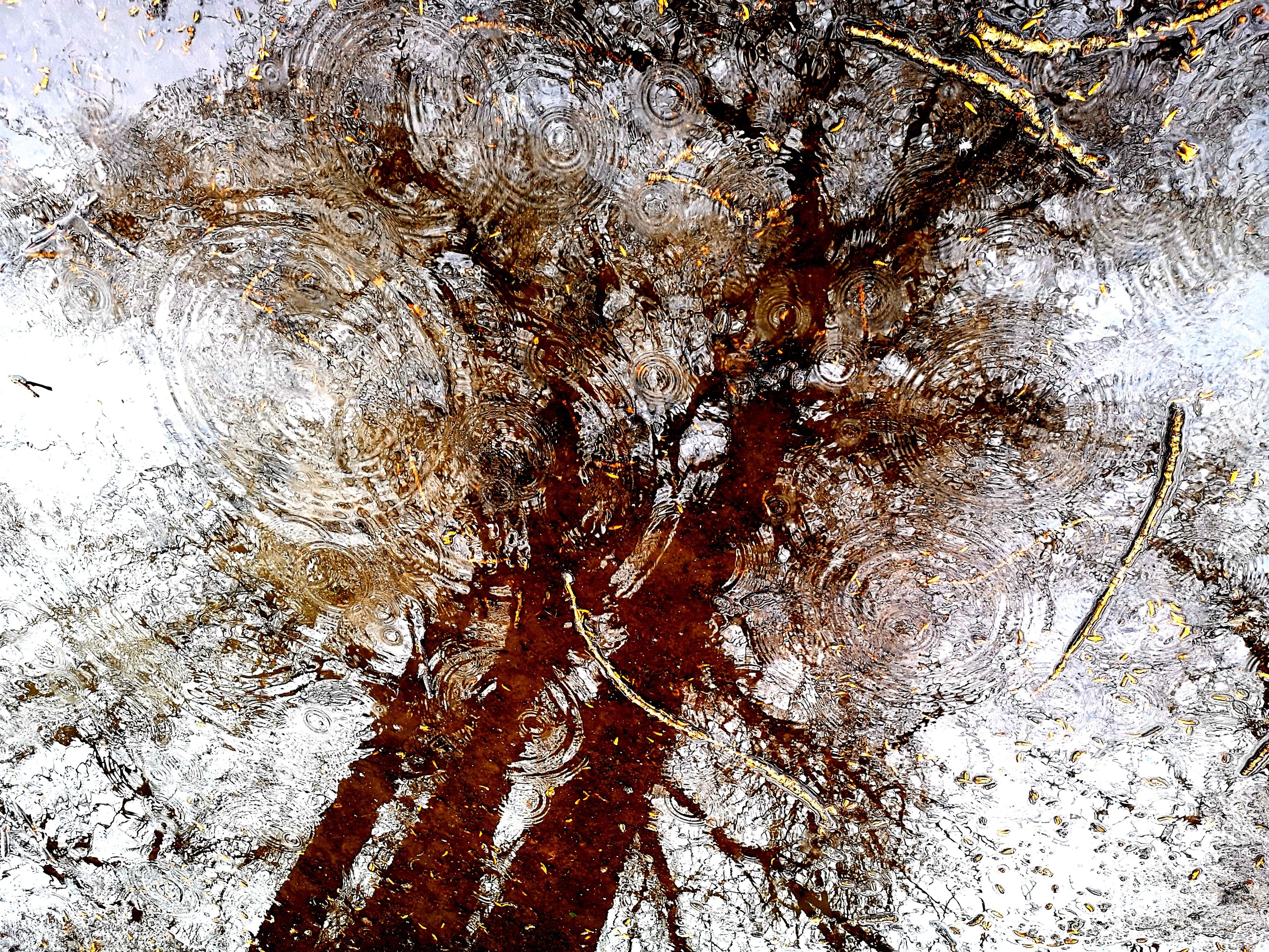 , Антон Лаба