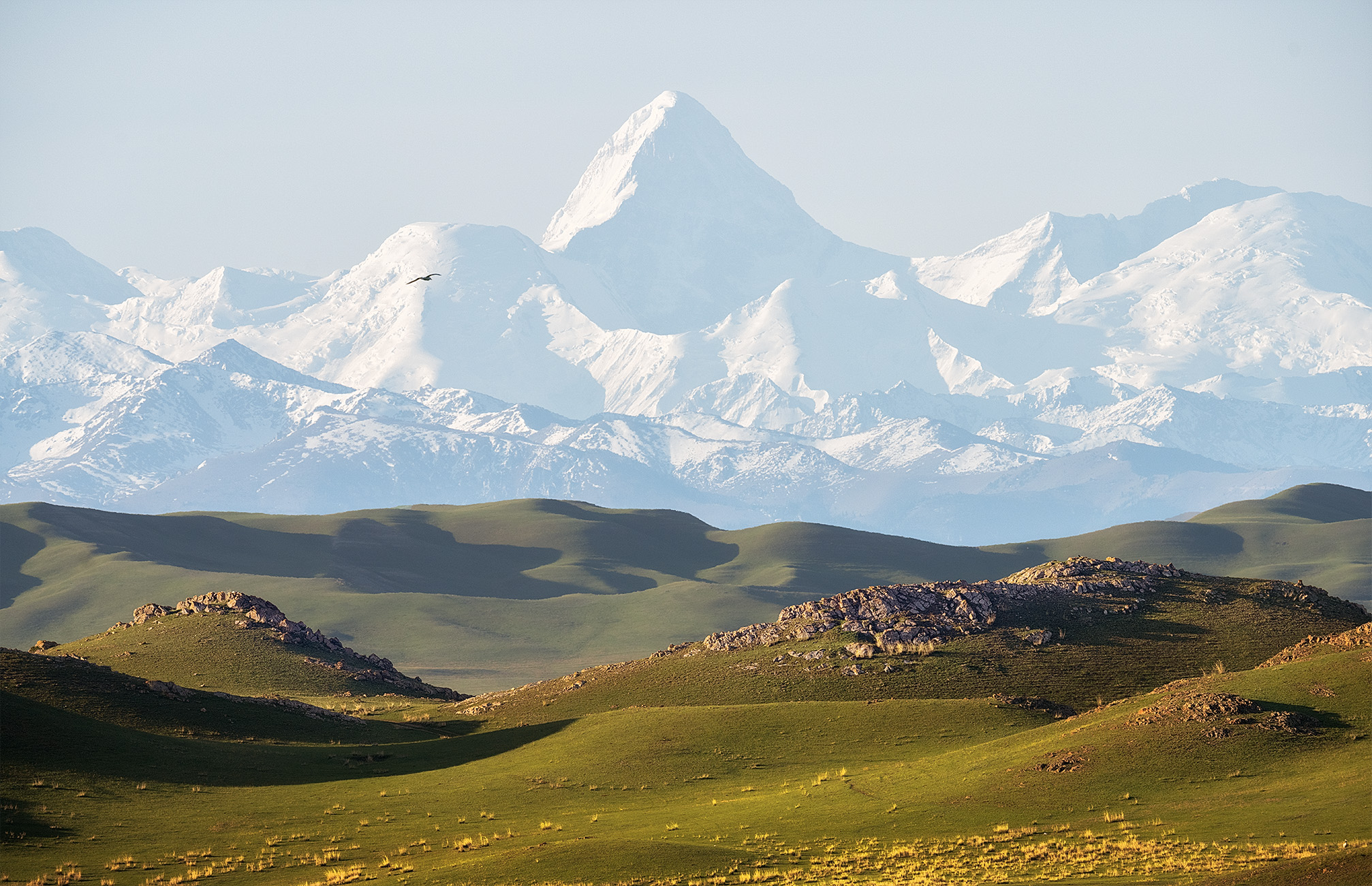 , Андрей Родионов