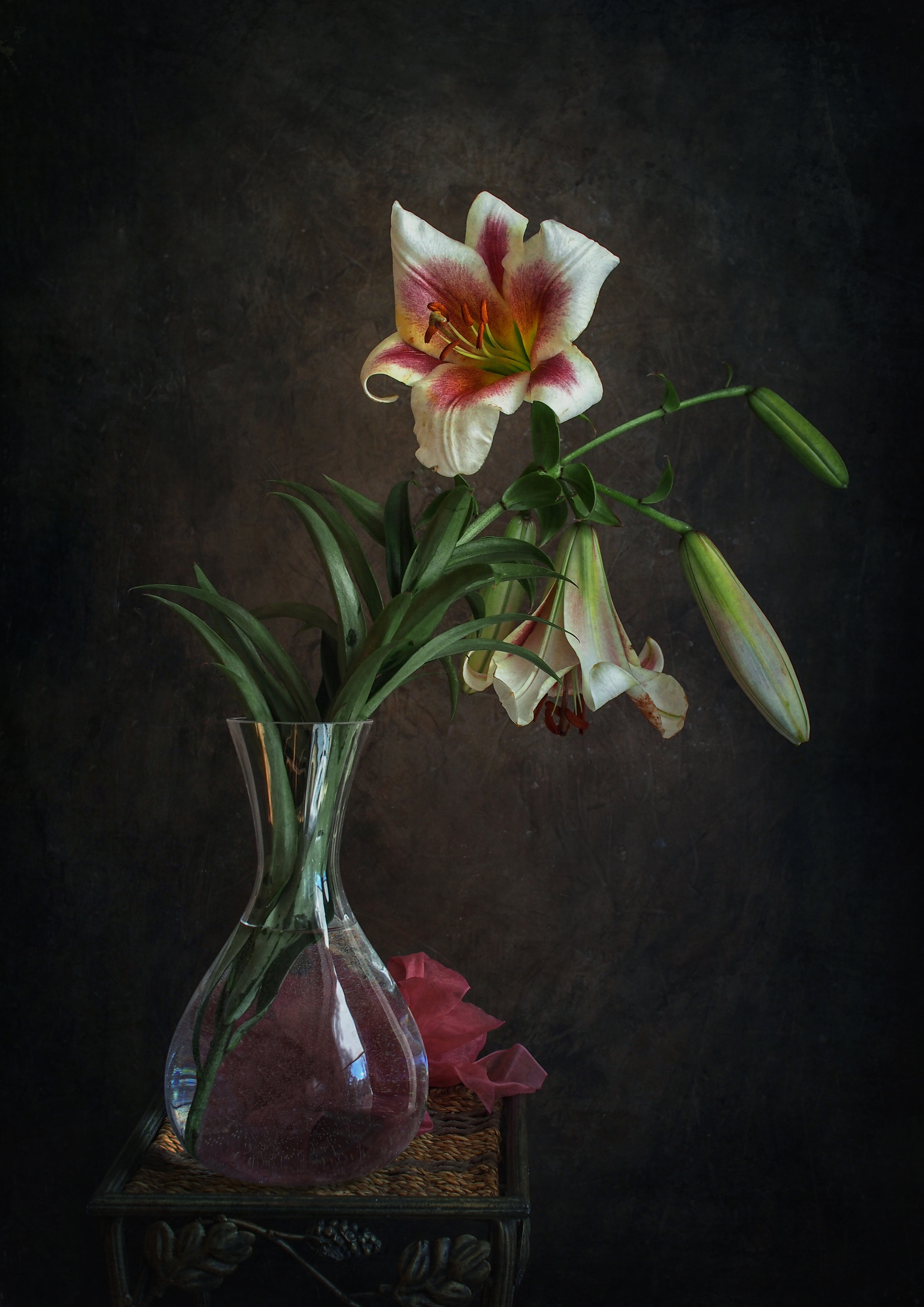 , Svetlana Inyusheva