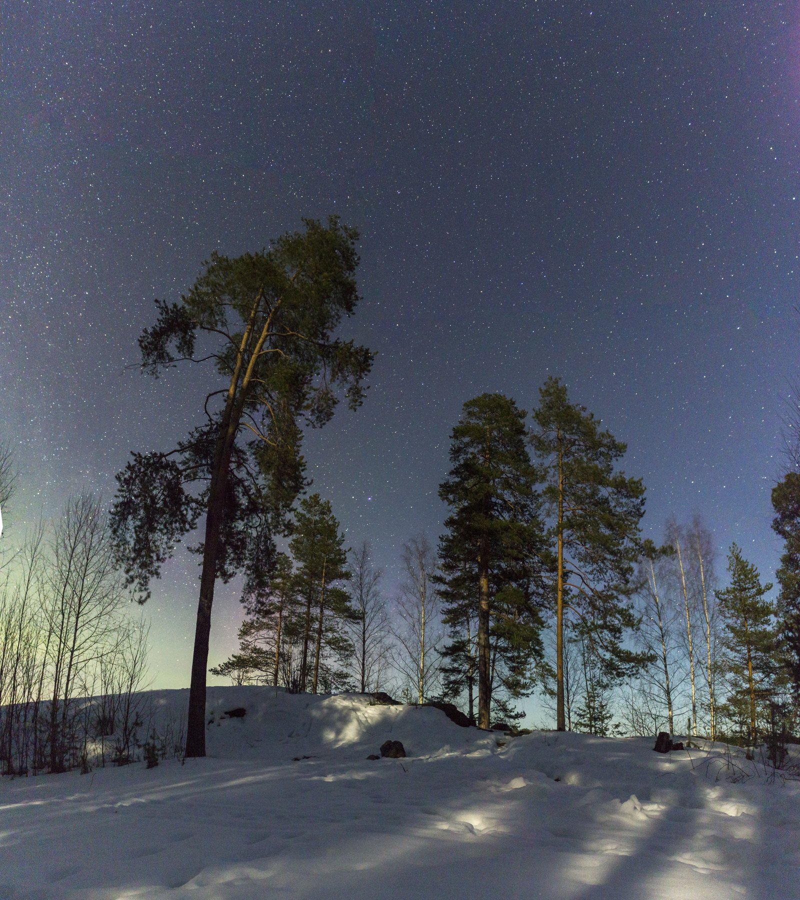 Ночь, звезды, лес, зима, Михаил Проскалов