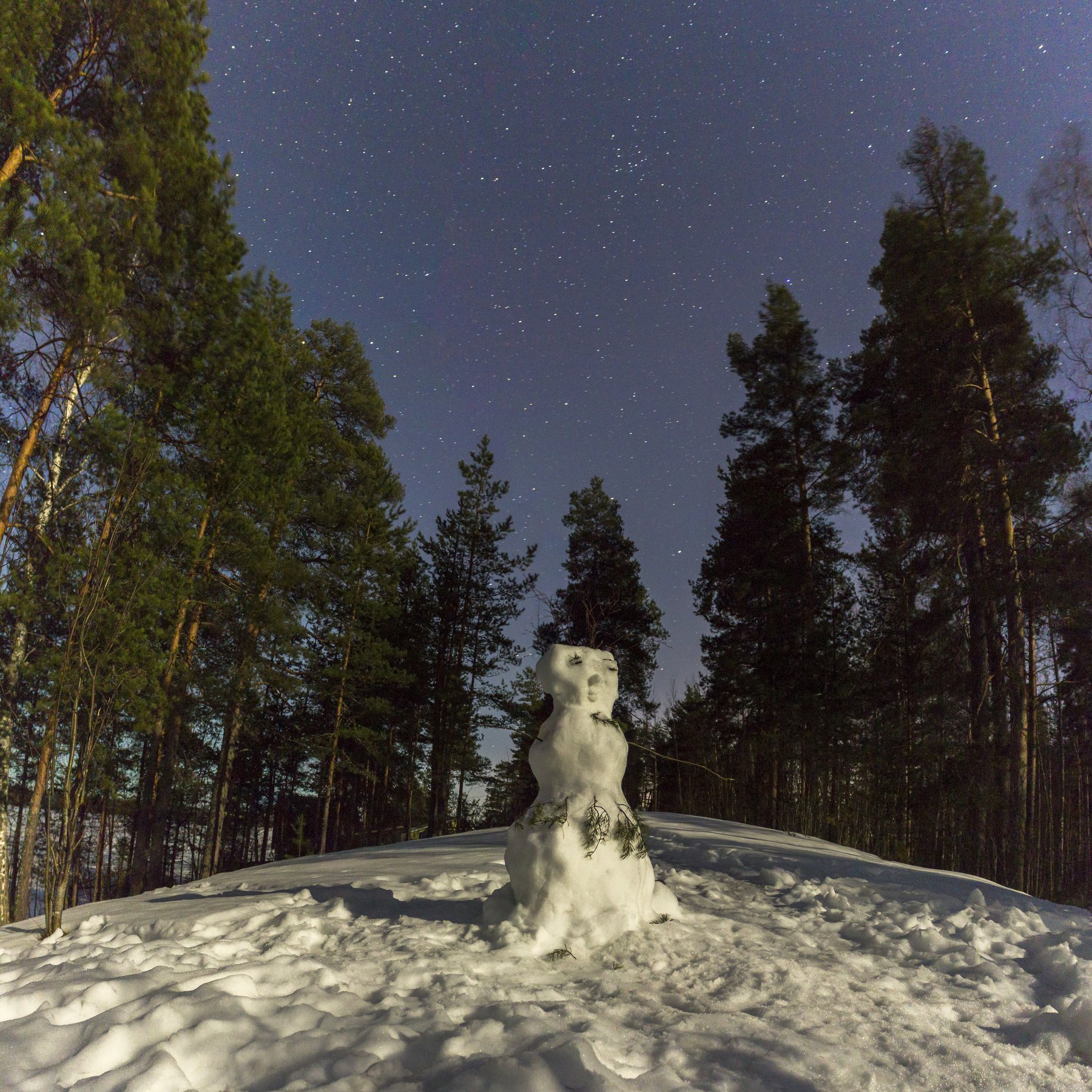 Снеговик, ночь, звезды, Михаил Проскалов