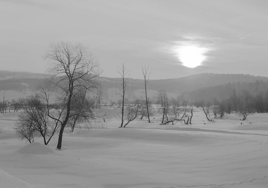 Природа, пейзаж, деревья, небо, горы, зима, снег, Александр Кожухов