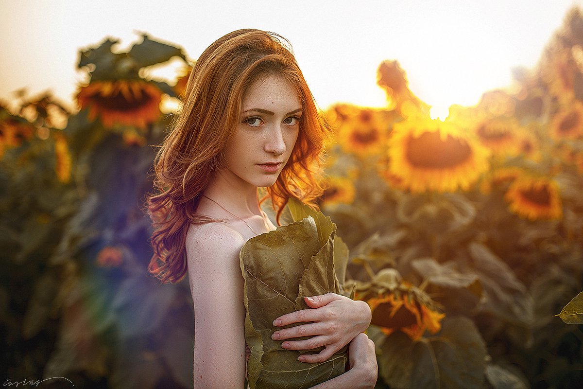 august, summer, sunflowers, beauty, beautiful, girl, Casing
