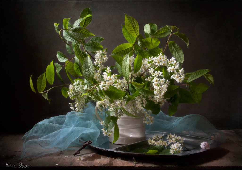 Белый цвет, Весна, Натюрморт, Черёмуха, Eleonora Grigorjeva