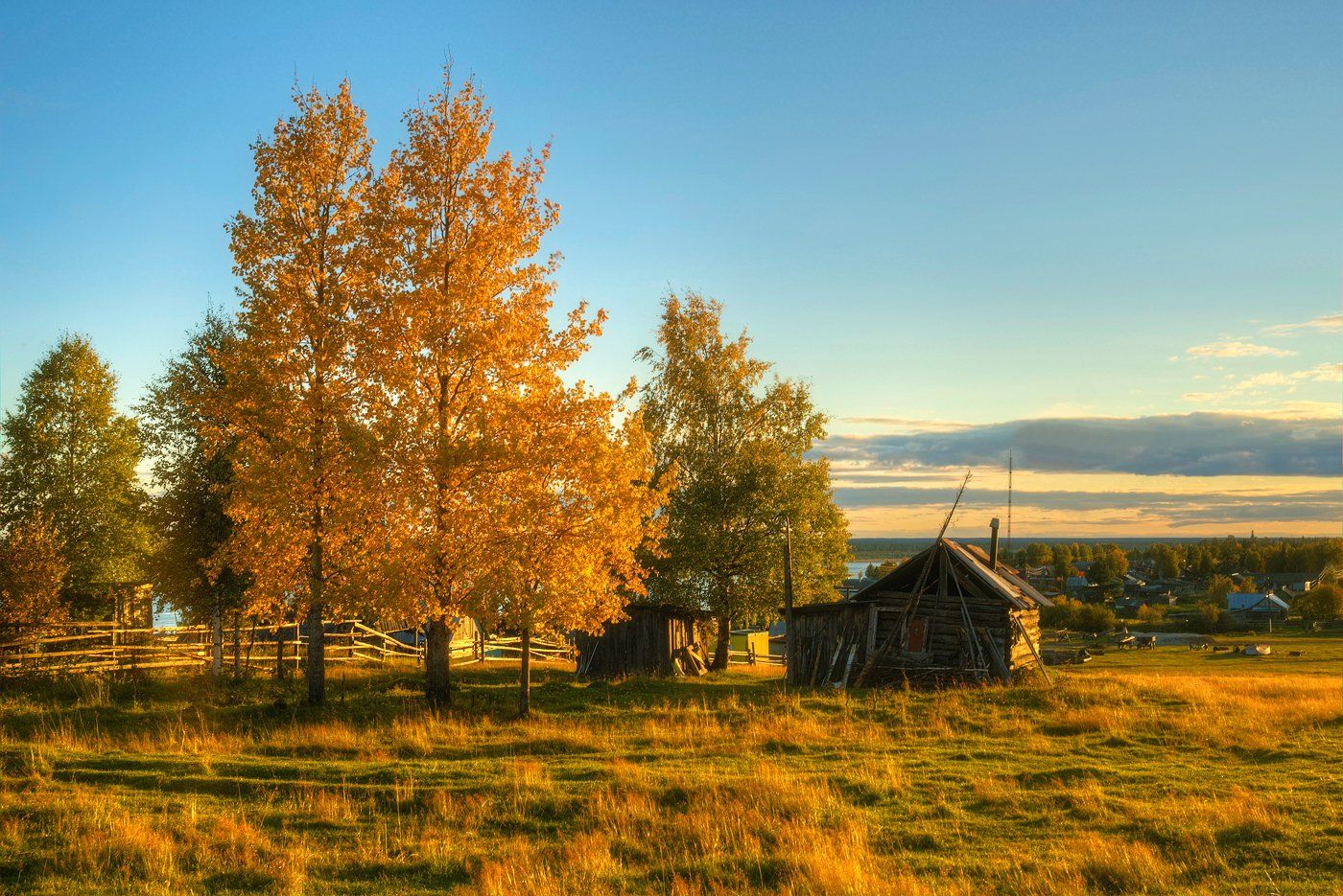 Осень в деревне. Смоленская деревня осень. Природа Печора Коми осень. Русский Север деревня осень. Деревня Бызовая Коми.