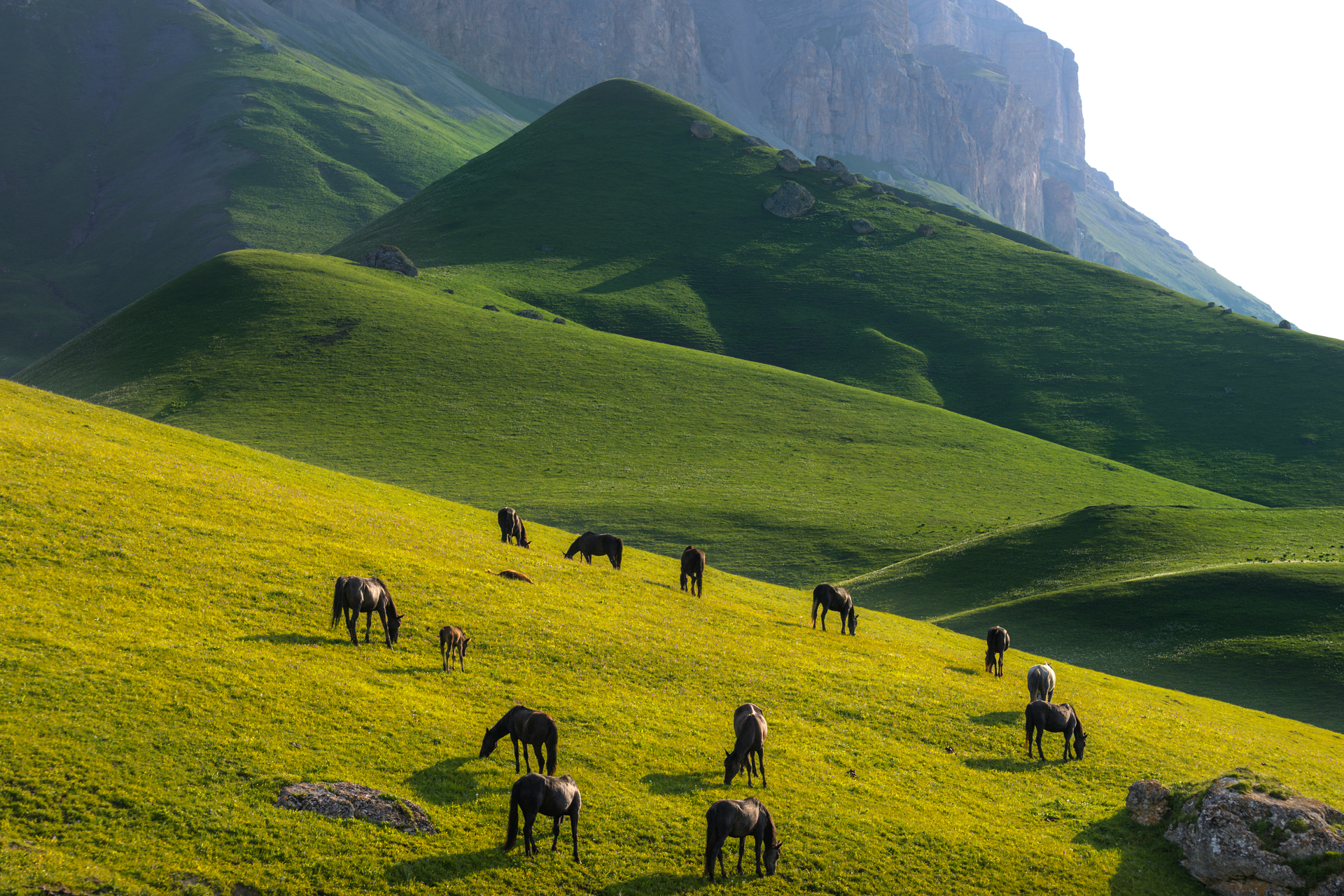 кавказ, кабардино - балкария, балкария, кбр, перевал, курноят, Фабричный Роман