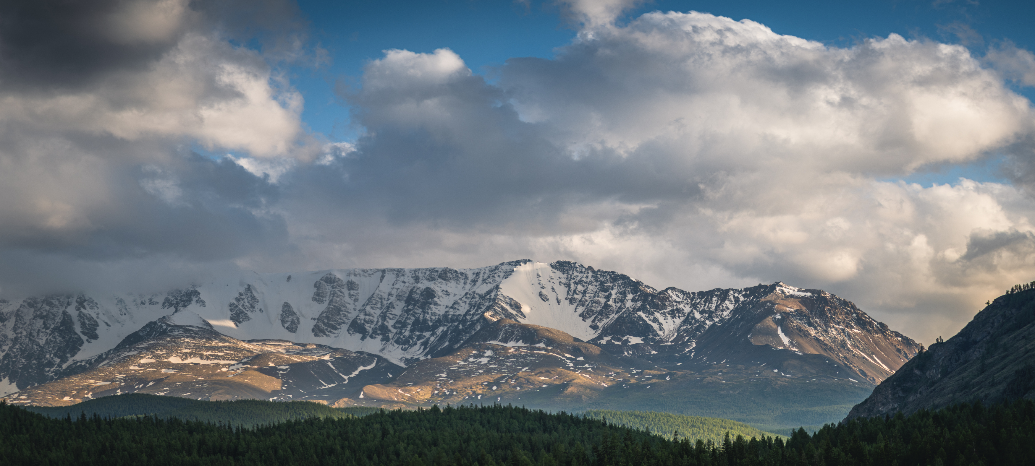 Горы, облака, лес, снежные горы, Алтай, Denis Koshkin