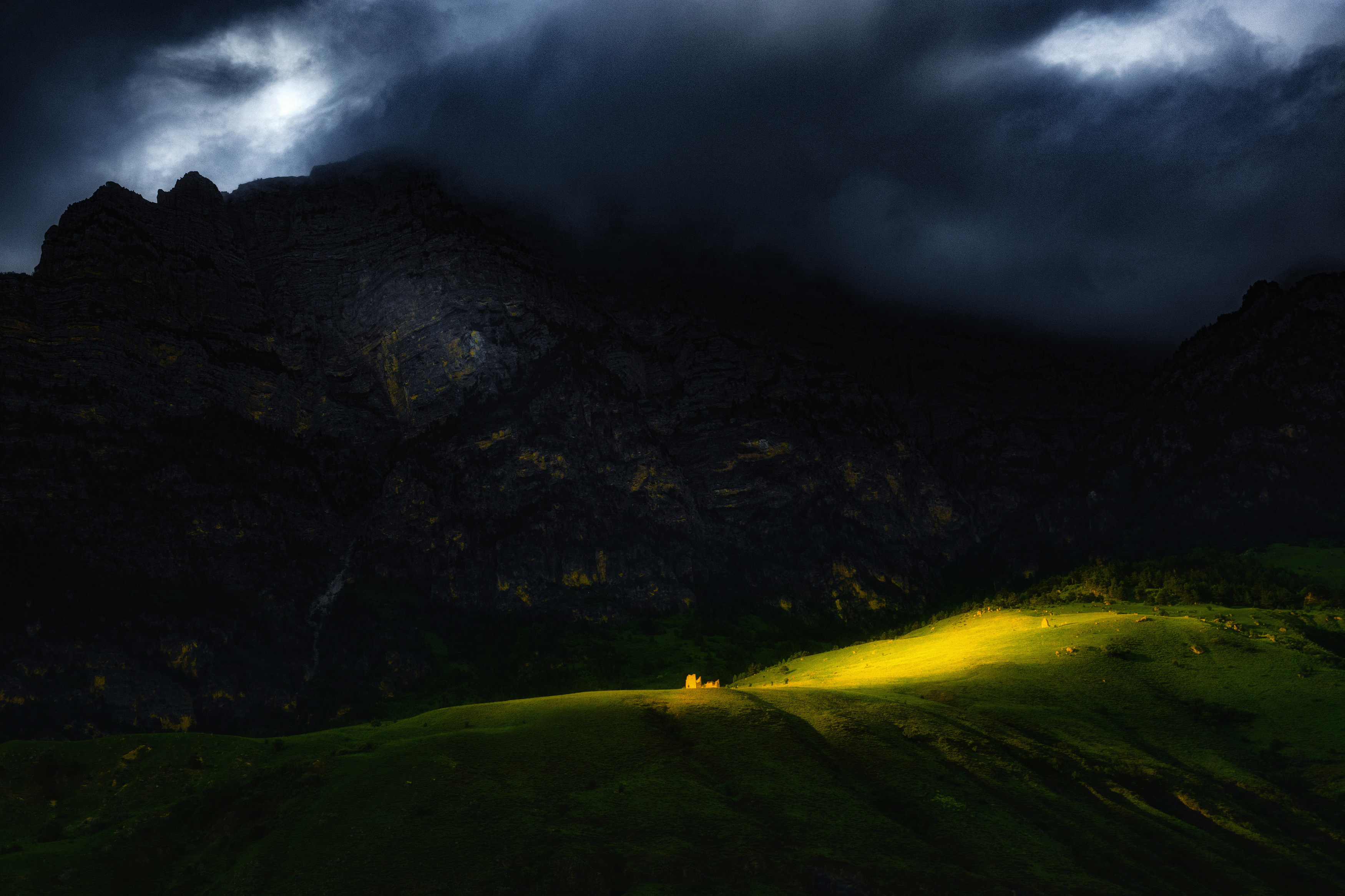 , Алексей Кретов