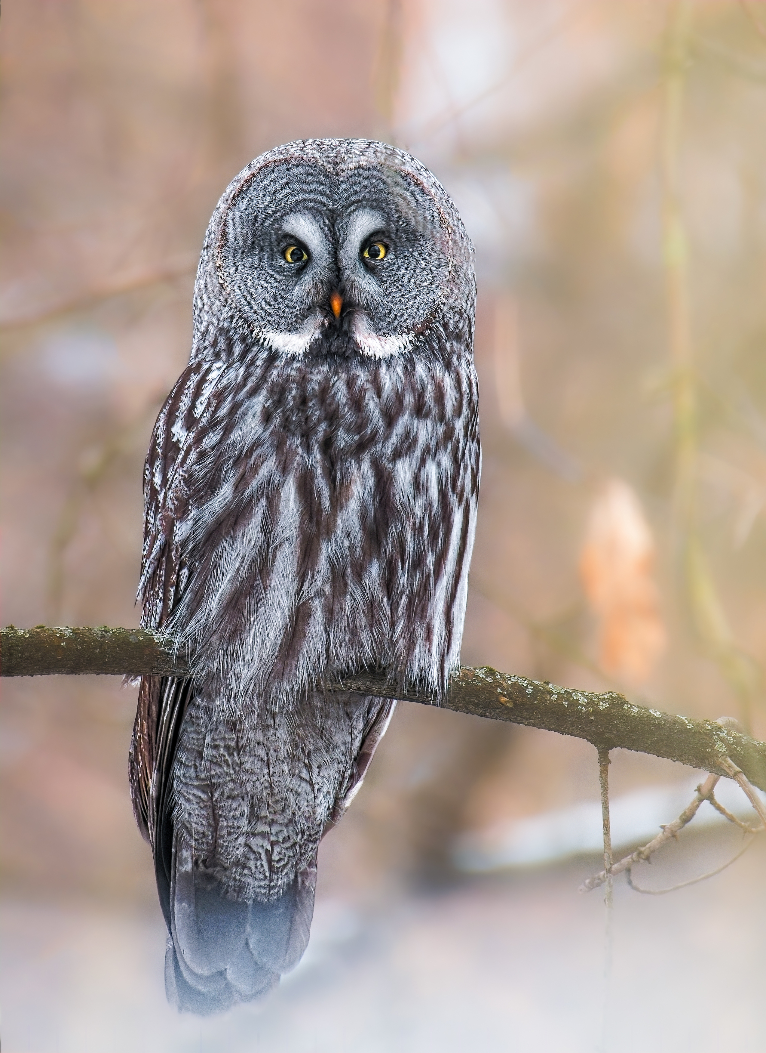 , Фото Александр