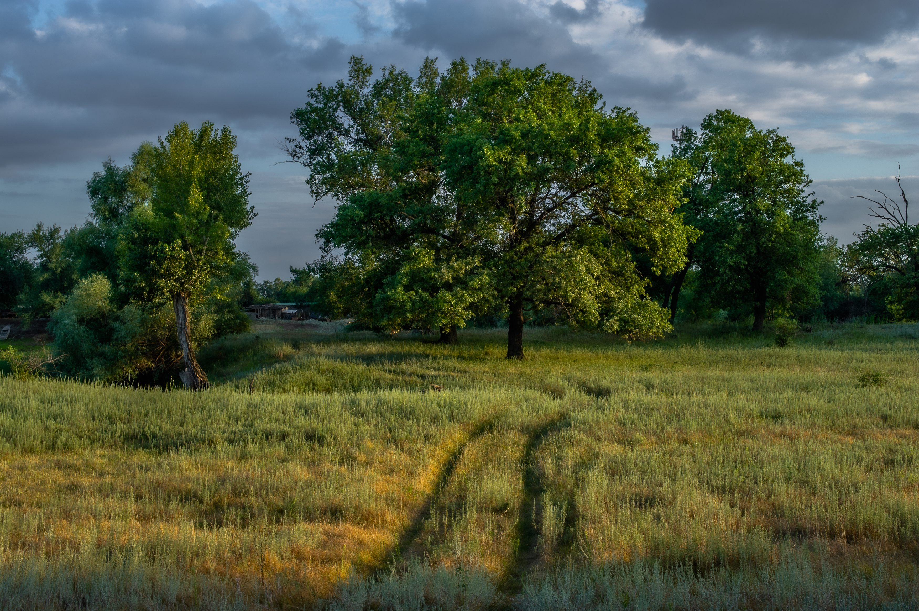природа,пейзаж,дорога,небо, Vasilev Roman