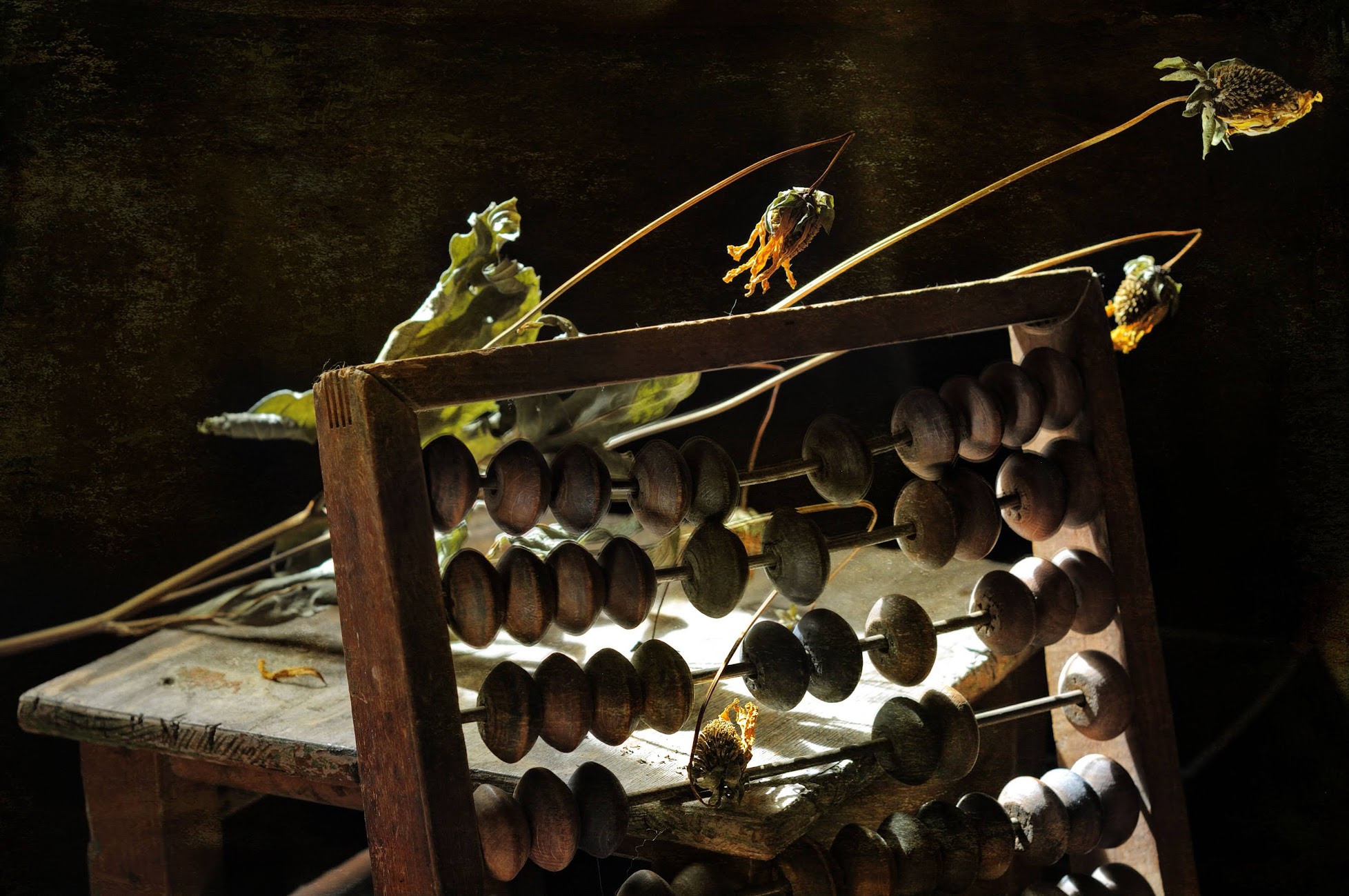 , Ирина Данилова