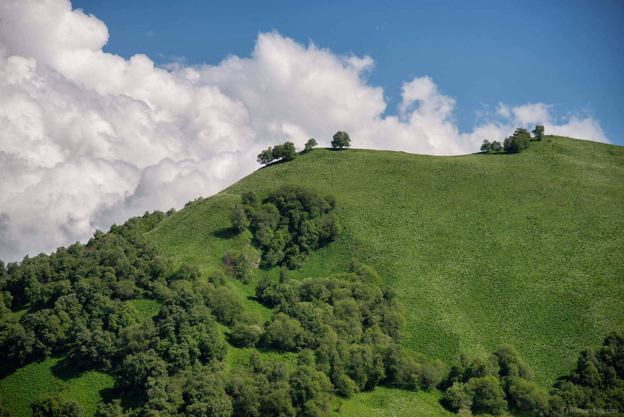 , Роман Князев