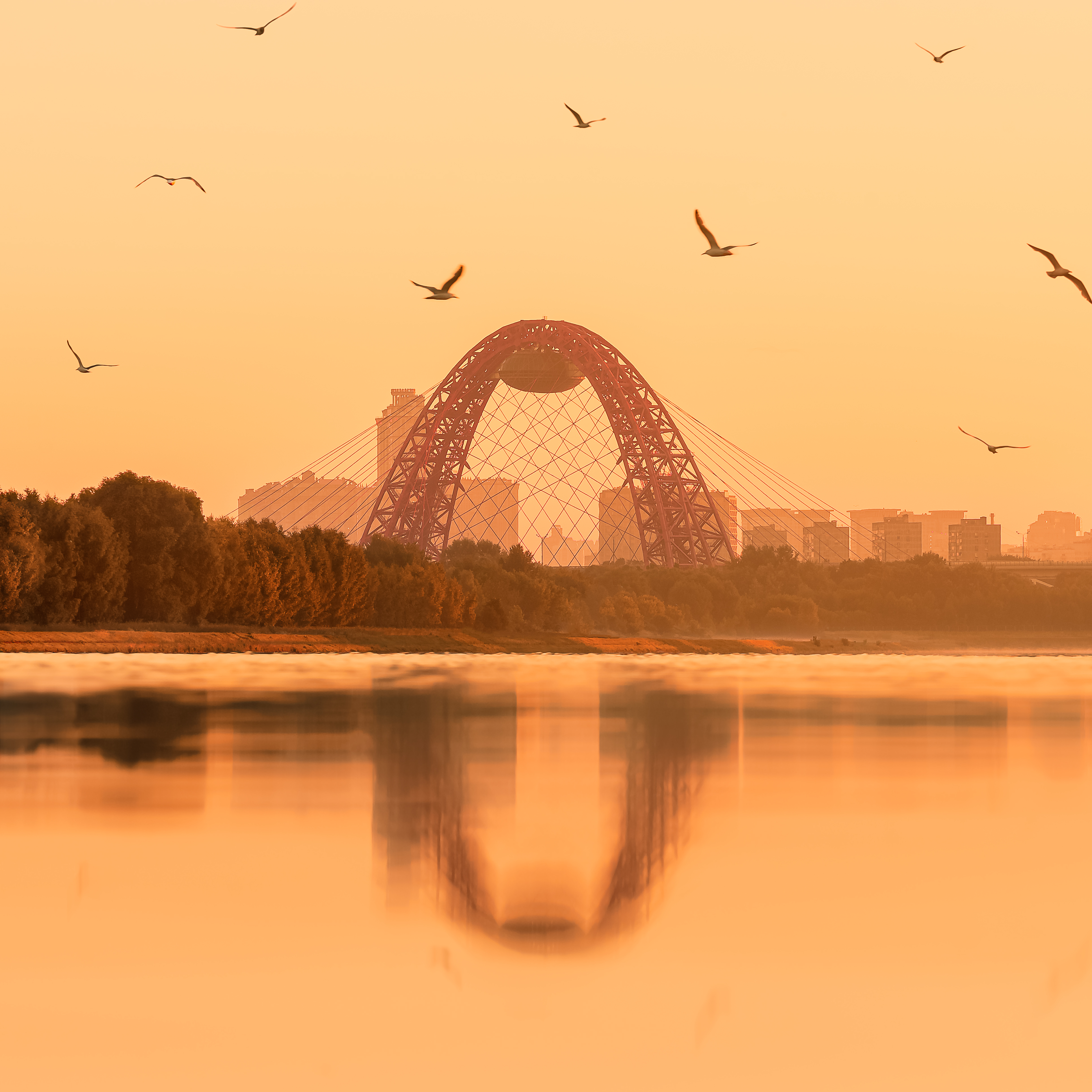 Живописный мост, москва, строгино, Moscow, Мазурева Анастасия