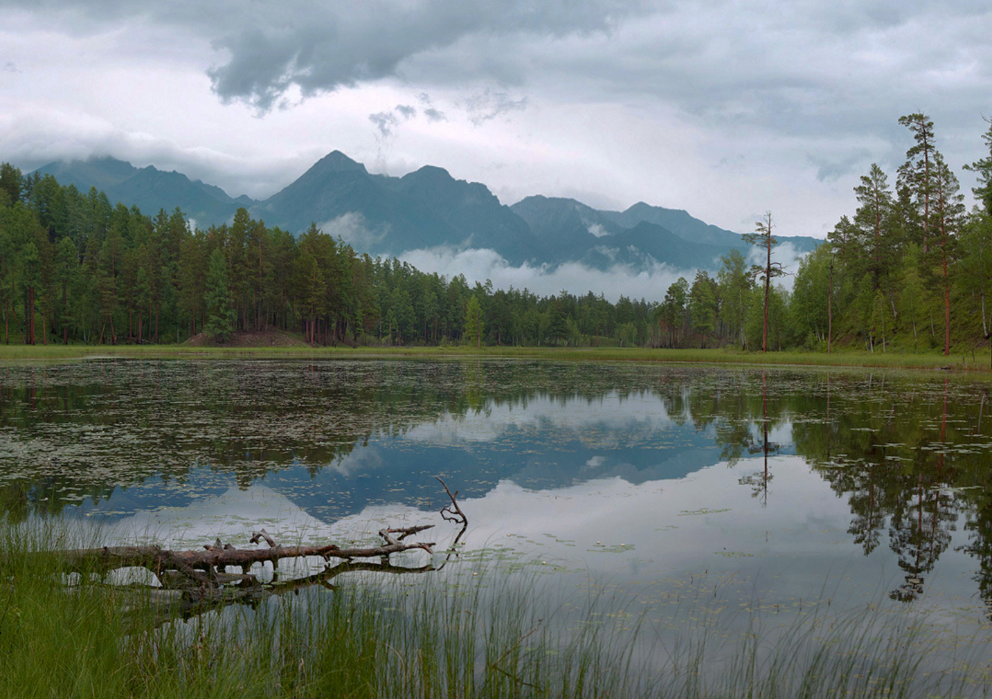 , Ленденёв Владимир