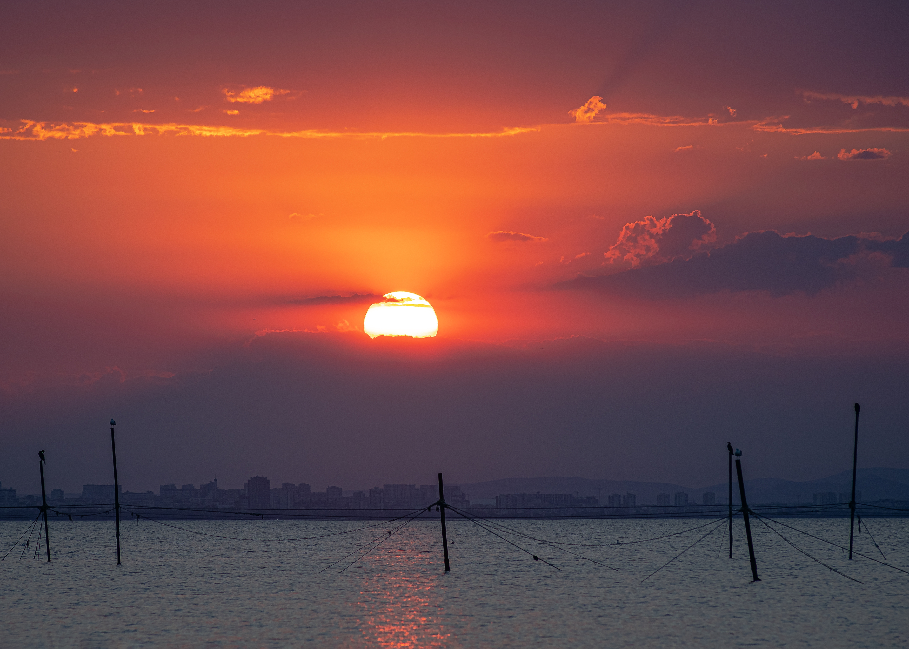 , Бобчева Веселина