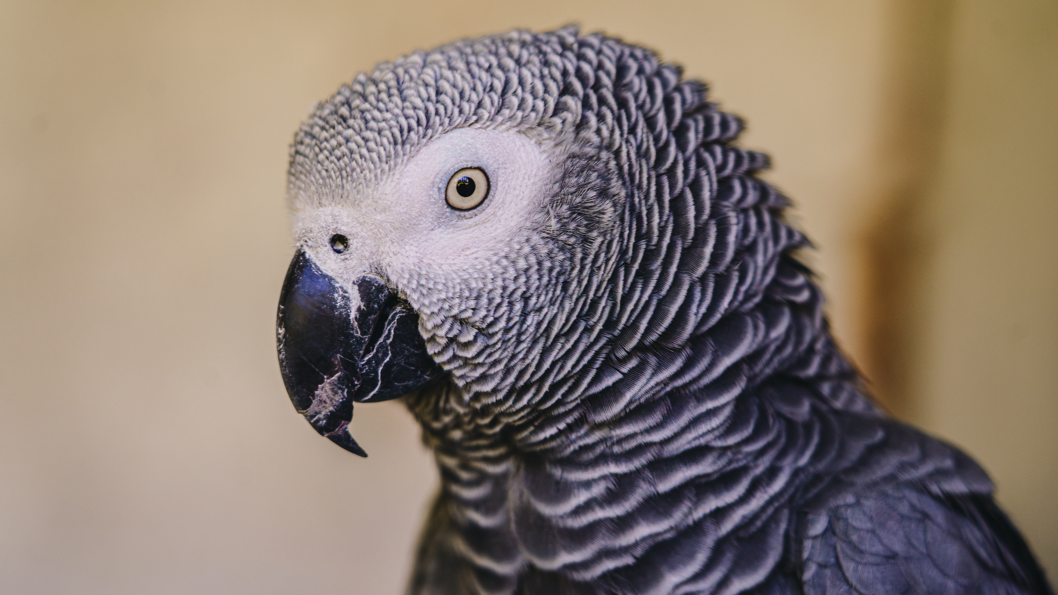 , Вертиков Юрий