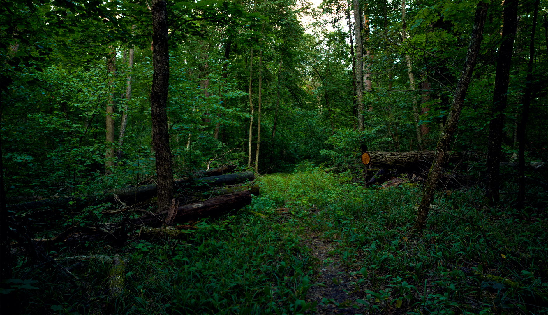 , Рукин Иван