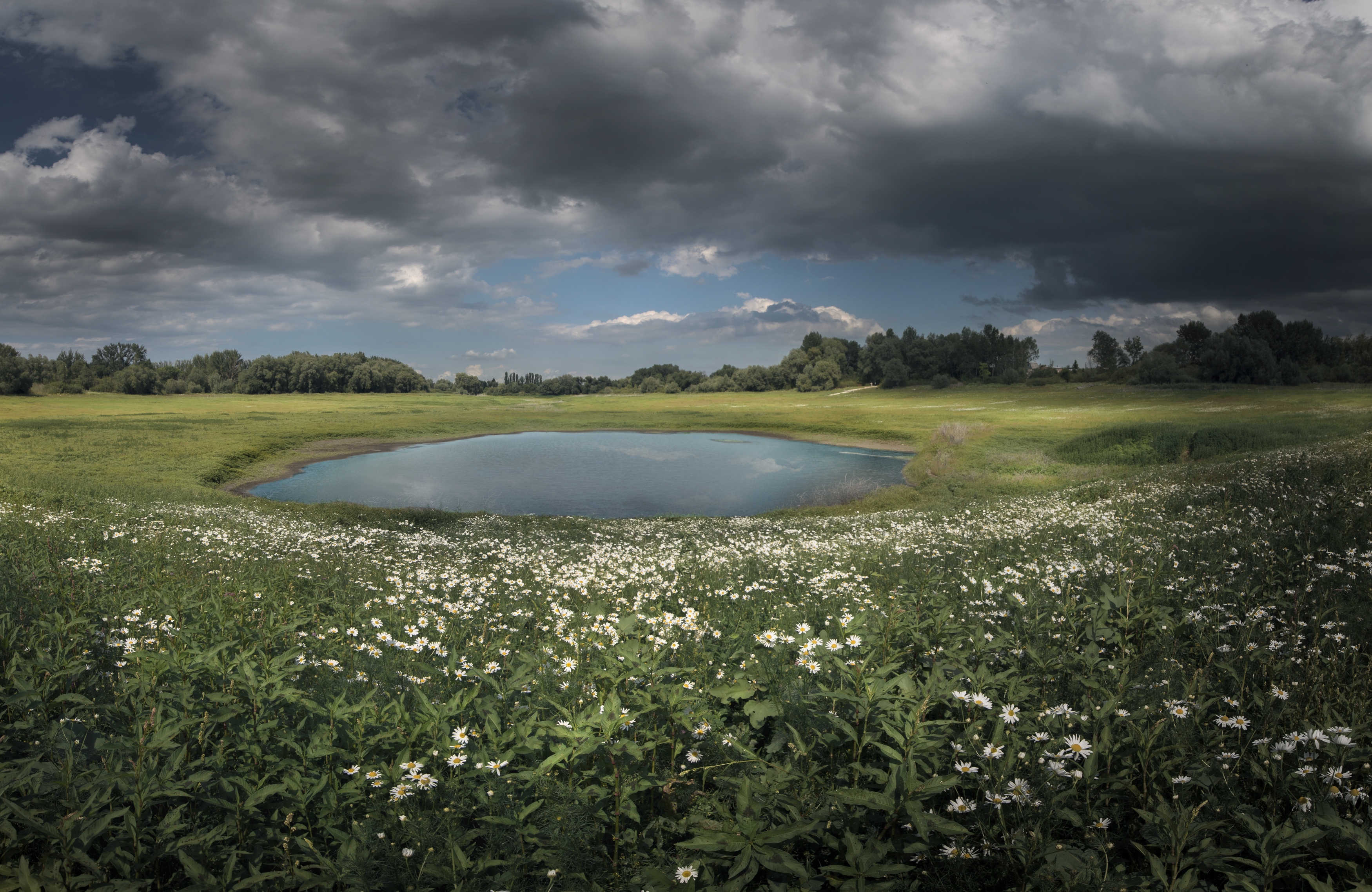 , Сергей Москалянов