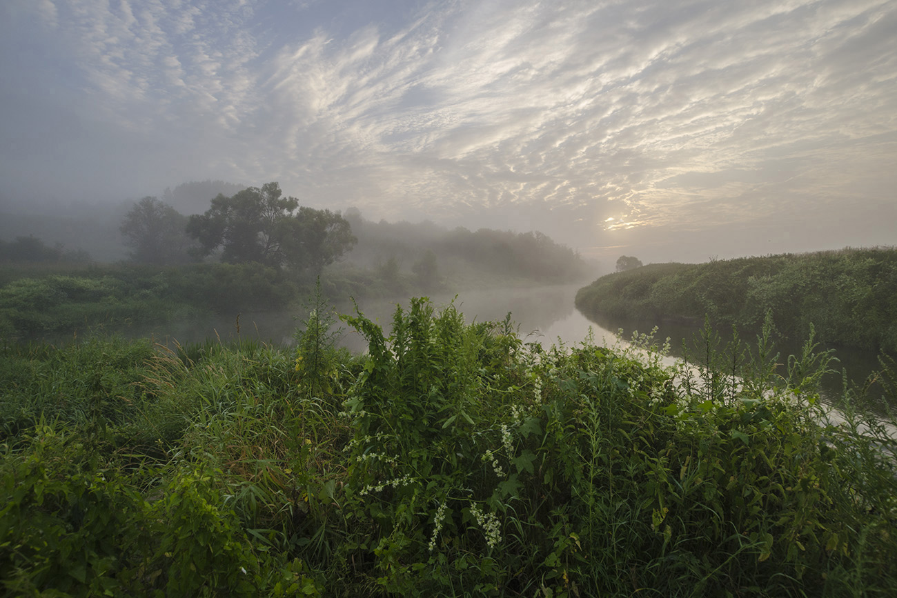 утро, лето, река, упа, якшино, Михаил Агеев