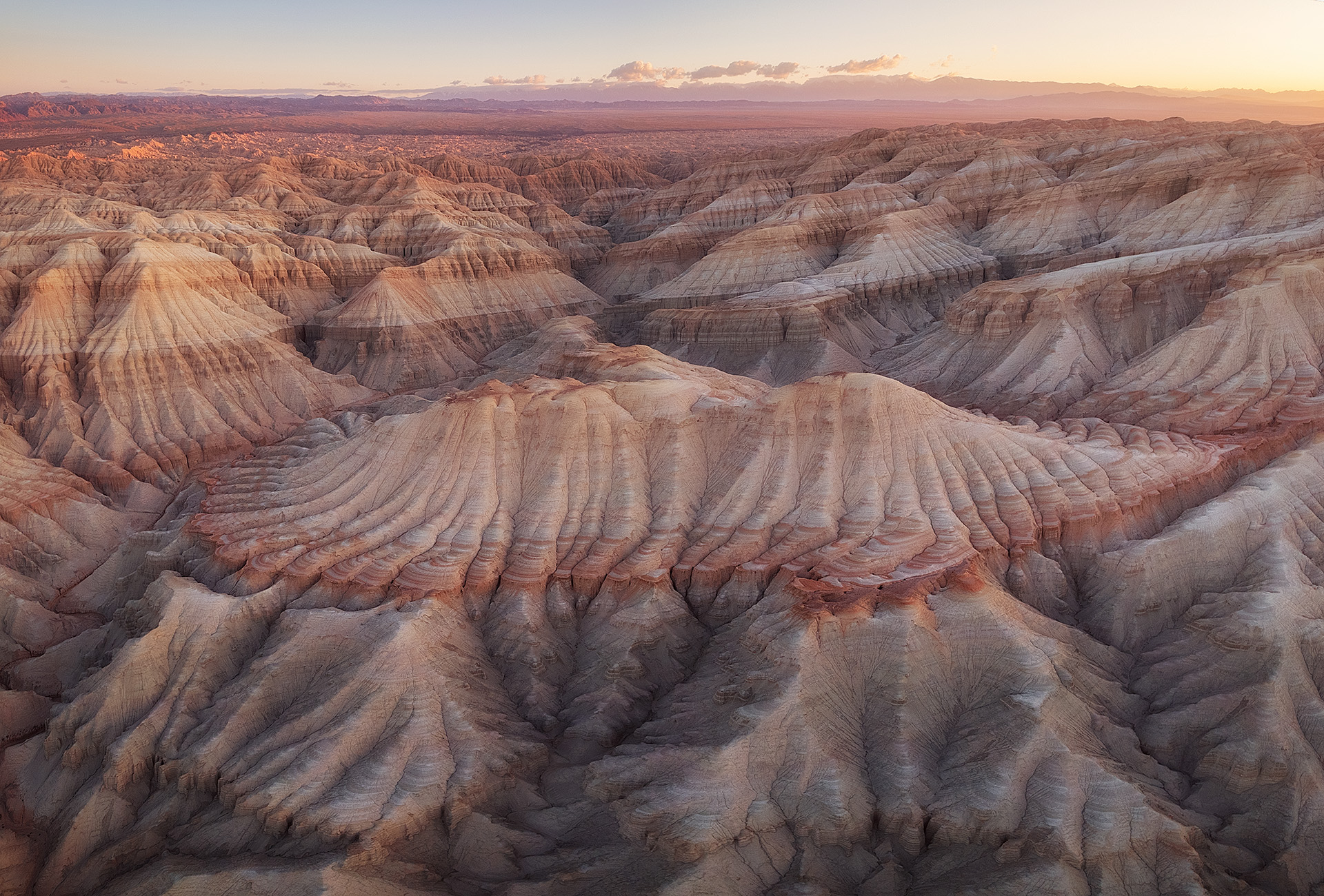 , Андрей Родионов