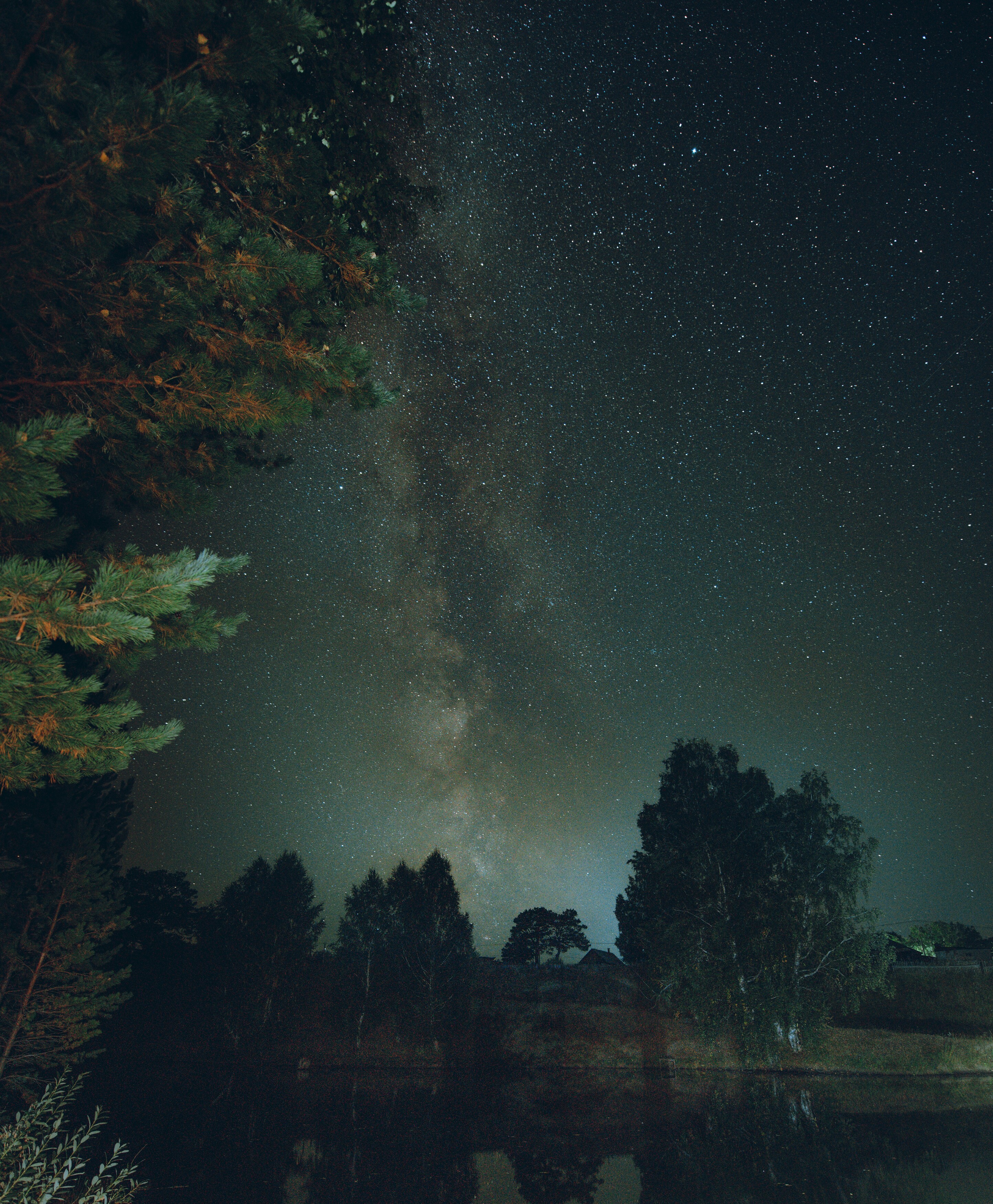 Звезды, ночное небо, озеро, деревья, млечный путь, Алтай, Denis Koshkin