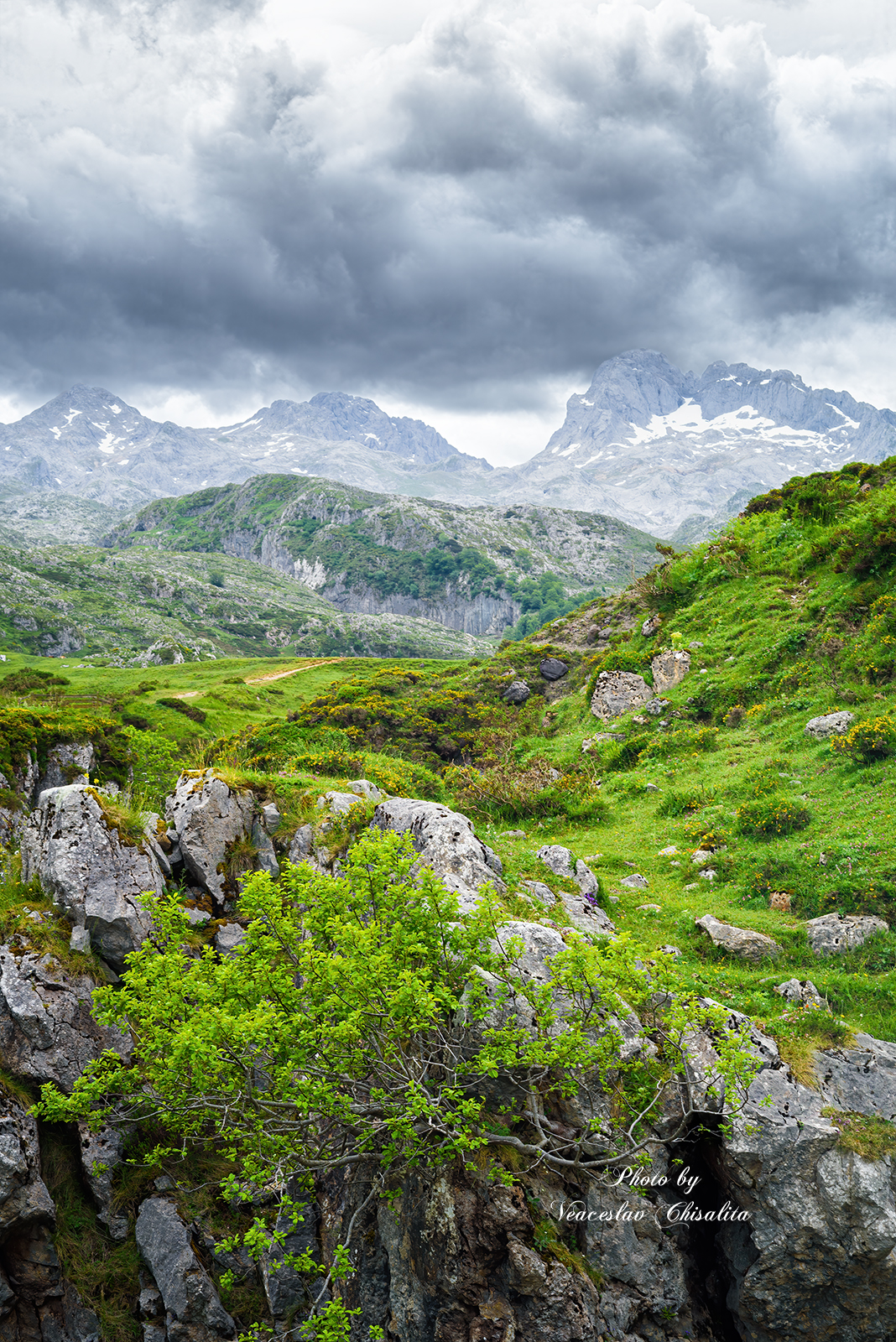 #природа #живописно #горы #поход #летовгорах #пейзаж #тишина #свежийвоздух #диканатура #зелень #вода #природнаямагия #nature #greenescape #hikingadventures #naturevibes #earthmood #sereneviews #landscape_lovers #wanderlust #freshair #calmplace, Veaceslav Chisalita